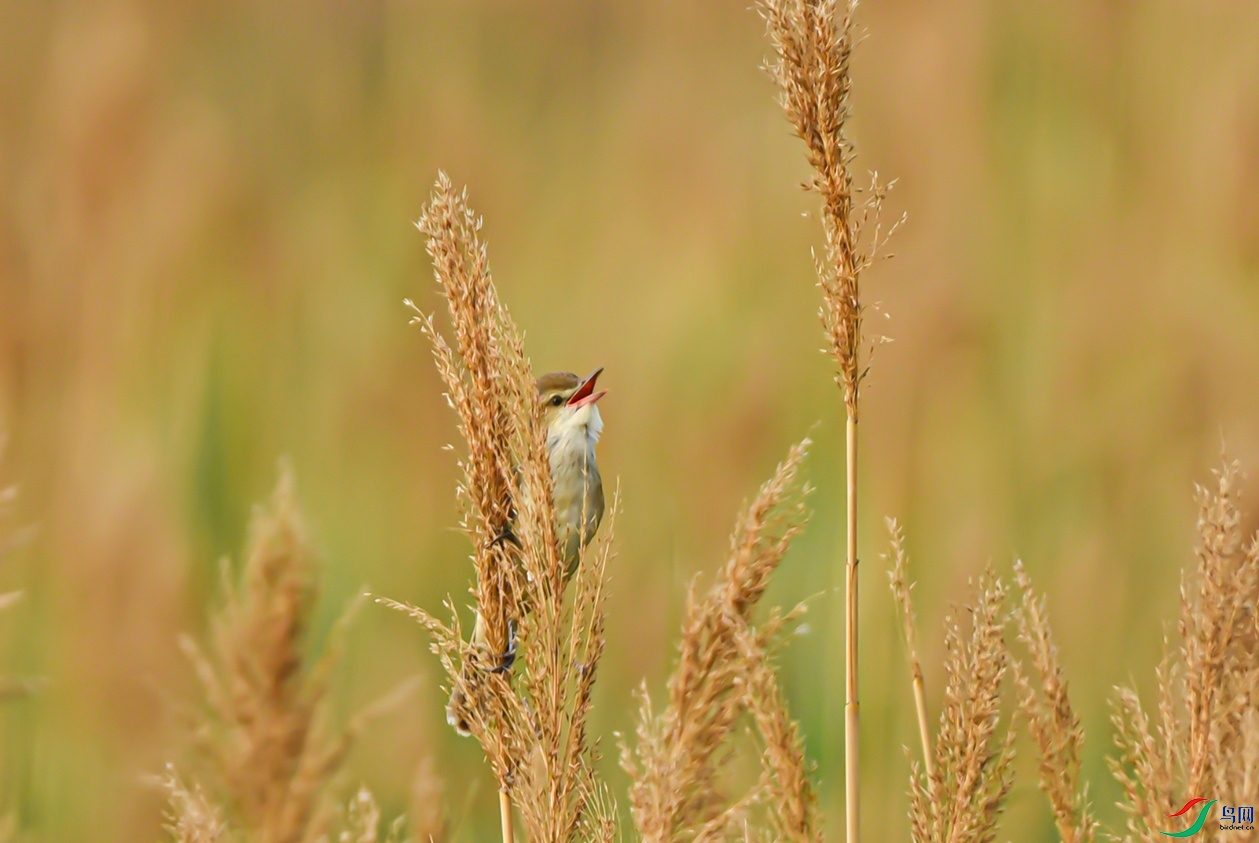DSC_3895f_��ͼ��.jpg