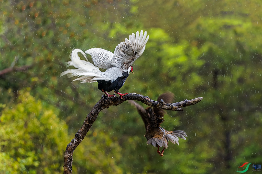 fjyaR230325 (1406)_DxO.jpg