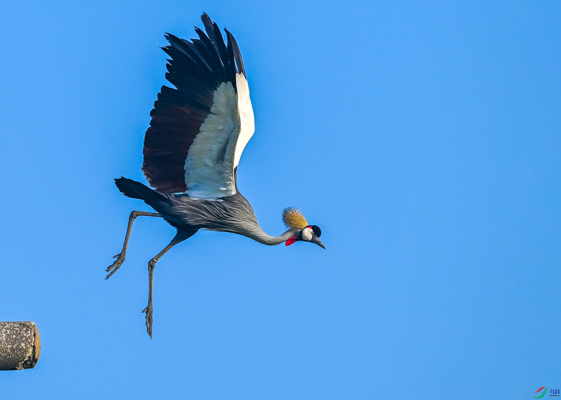 4949 ����.jpg