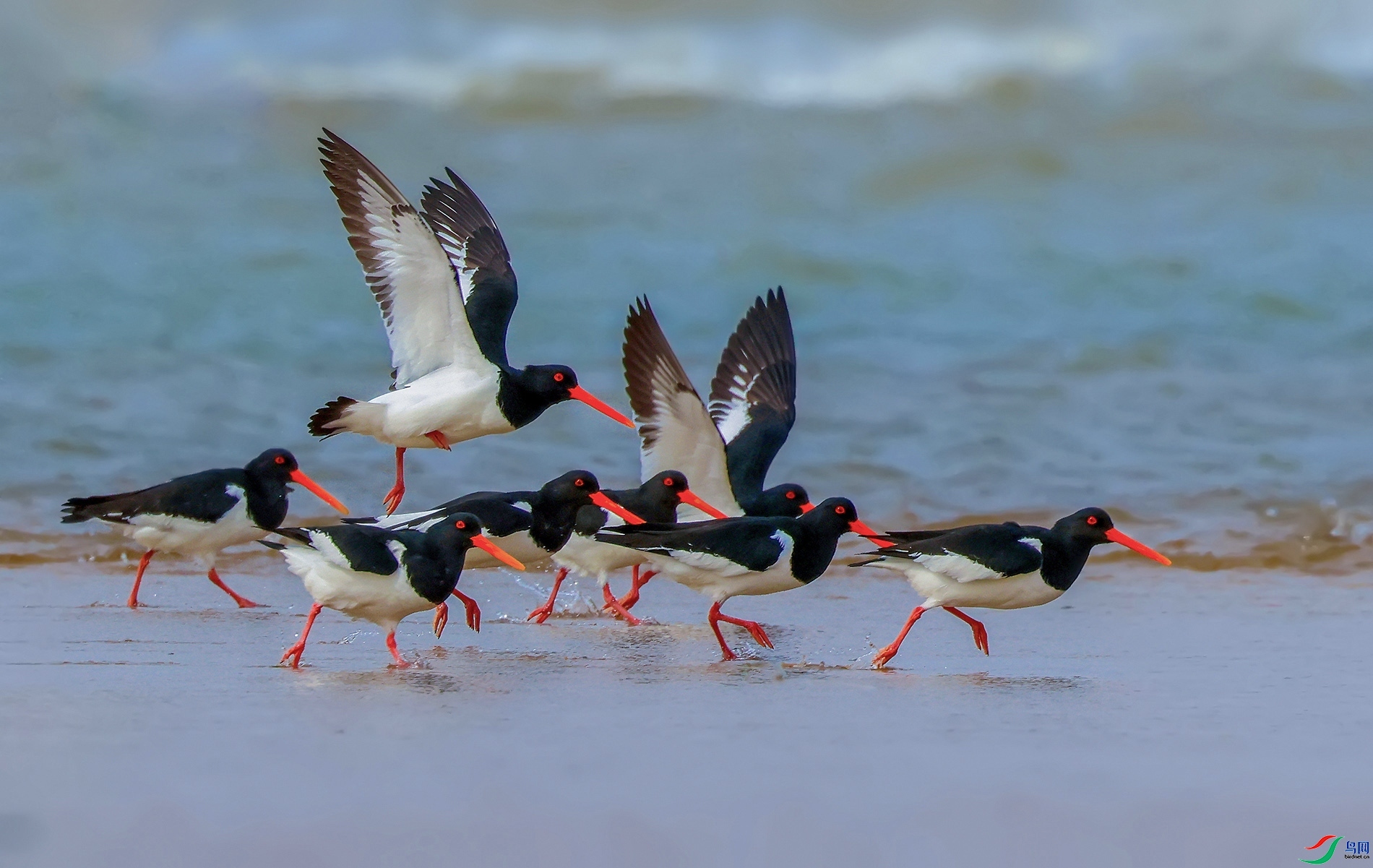 9.25luenxiang1120��ʦ��Ʒ   �жӳ���  �ٻ�2023��9��25��ÿ�ռ���.jpg