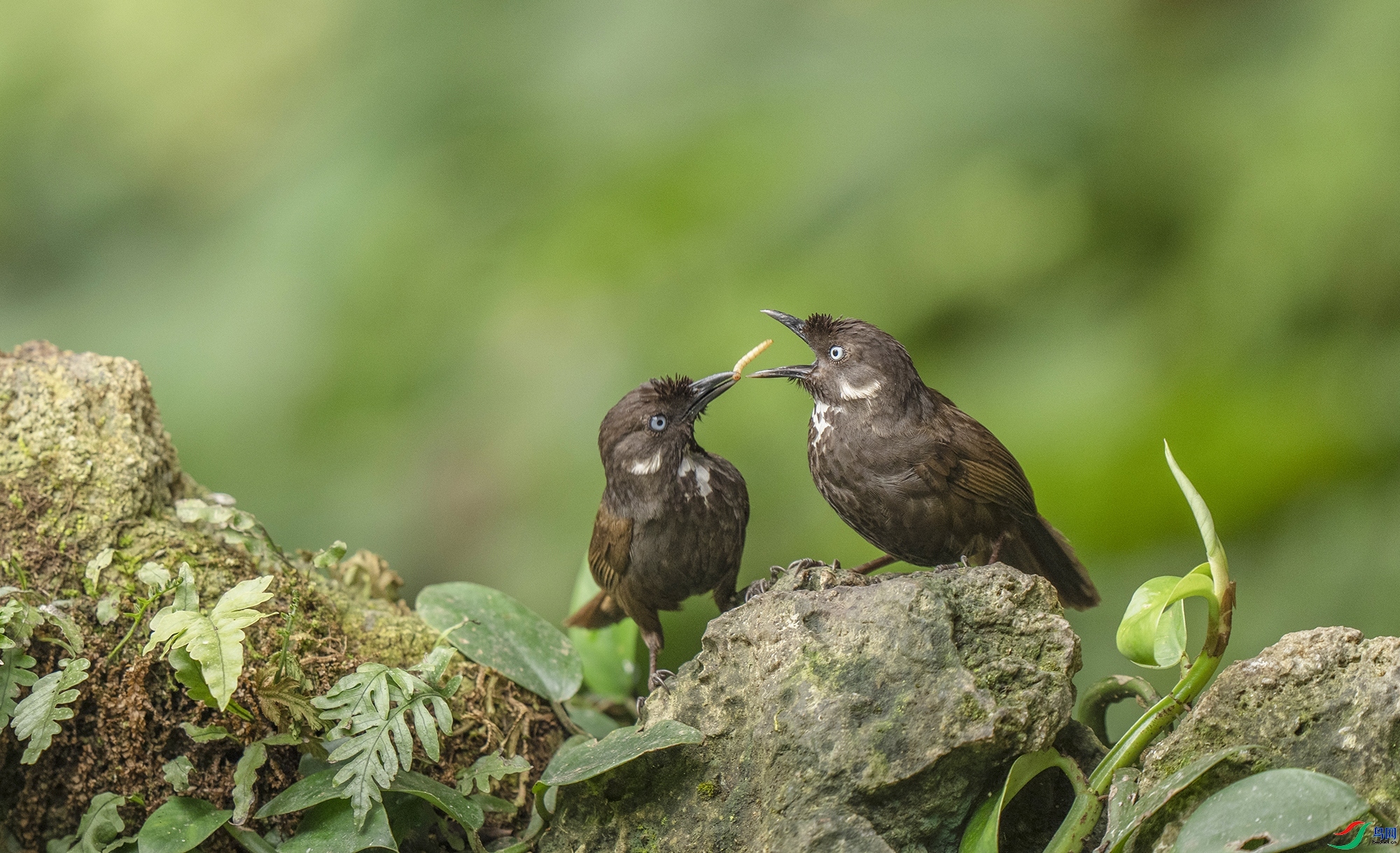 9.22�ϫ��ʦ��Ʒ   �����  �ٻ�2023��9��22����ҳ����.jpg