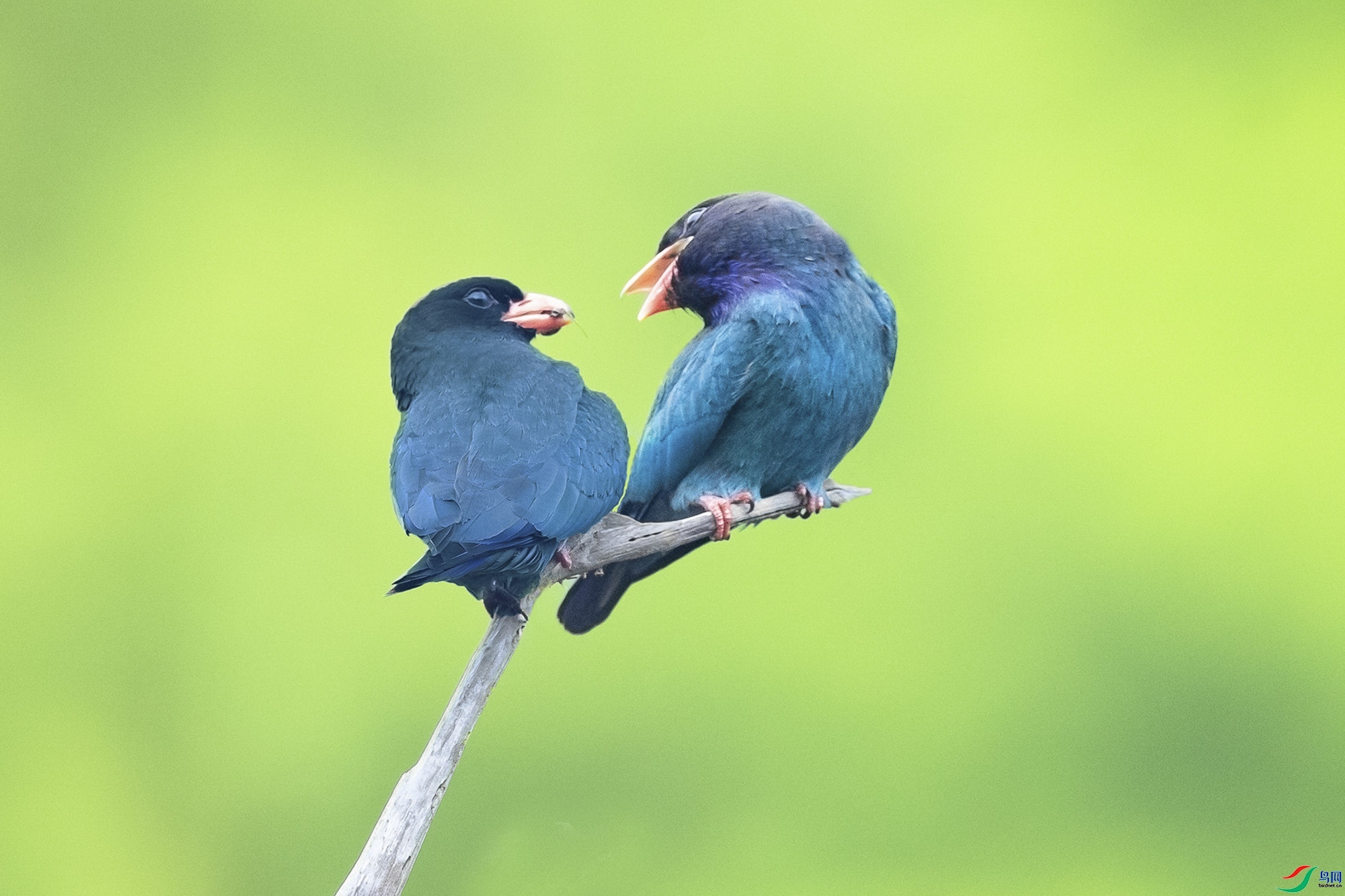 9.22������bj��ʦ��Ʒ   ���  �ٻ�2023��9��22����ҳ����.jpg