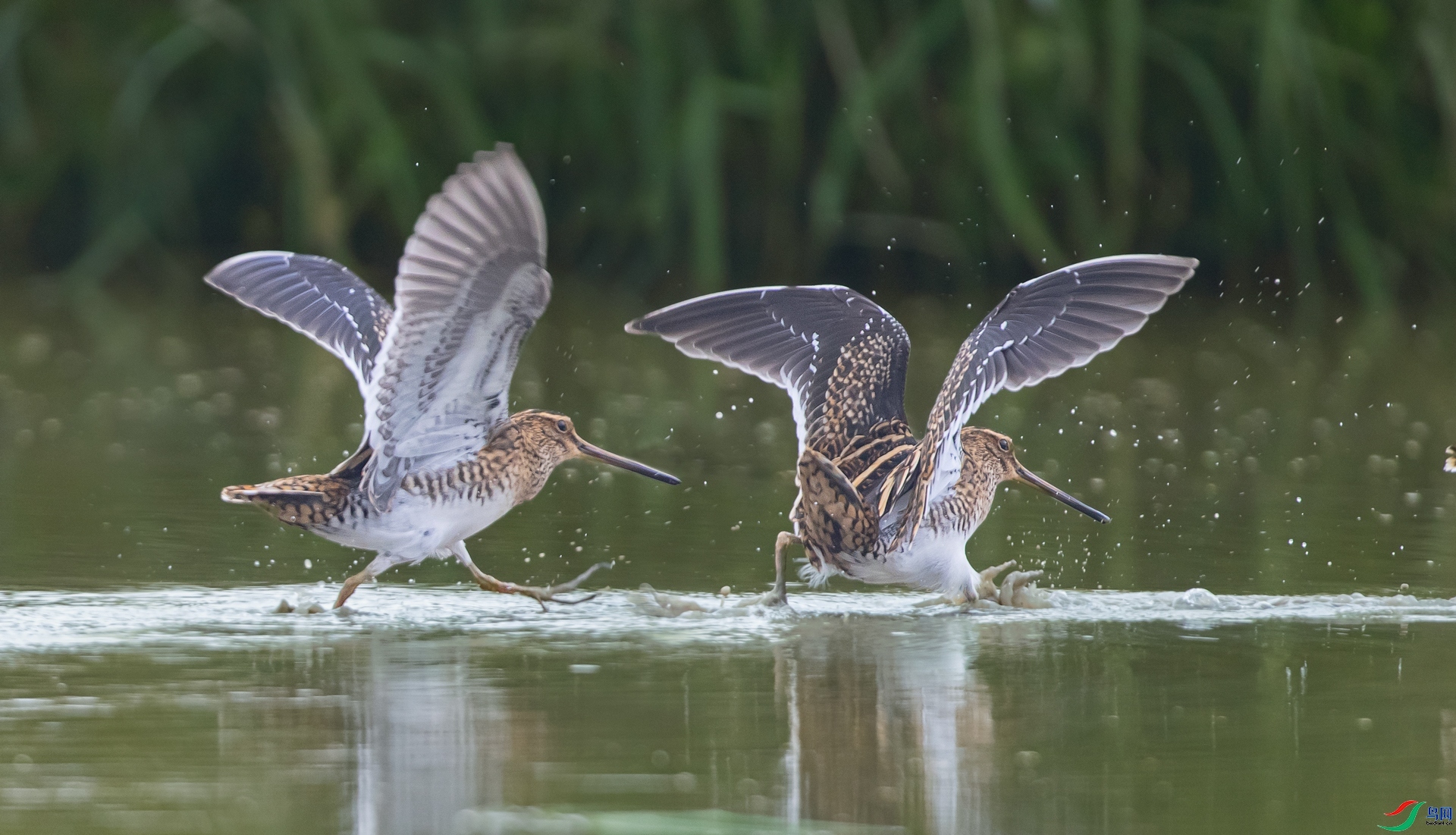 9.22������ʦ��Ʒ    ����  �ٻ�2023��9��22����ҳ����.jpg