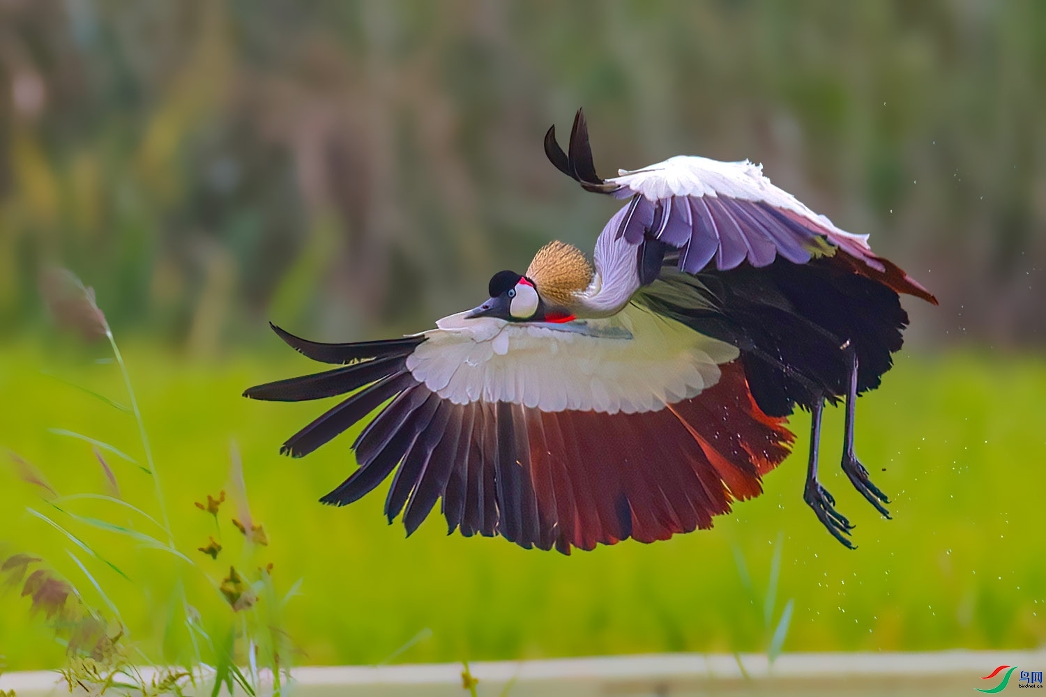 9.23������ʦ��Ʒ   ����  �ٻ�2023��9��23����ҳ����.jpg