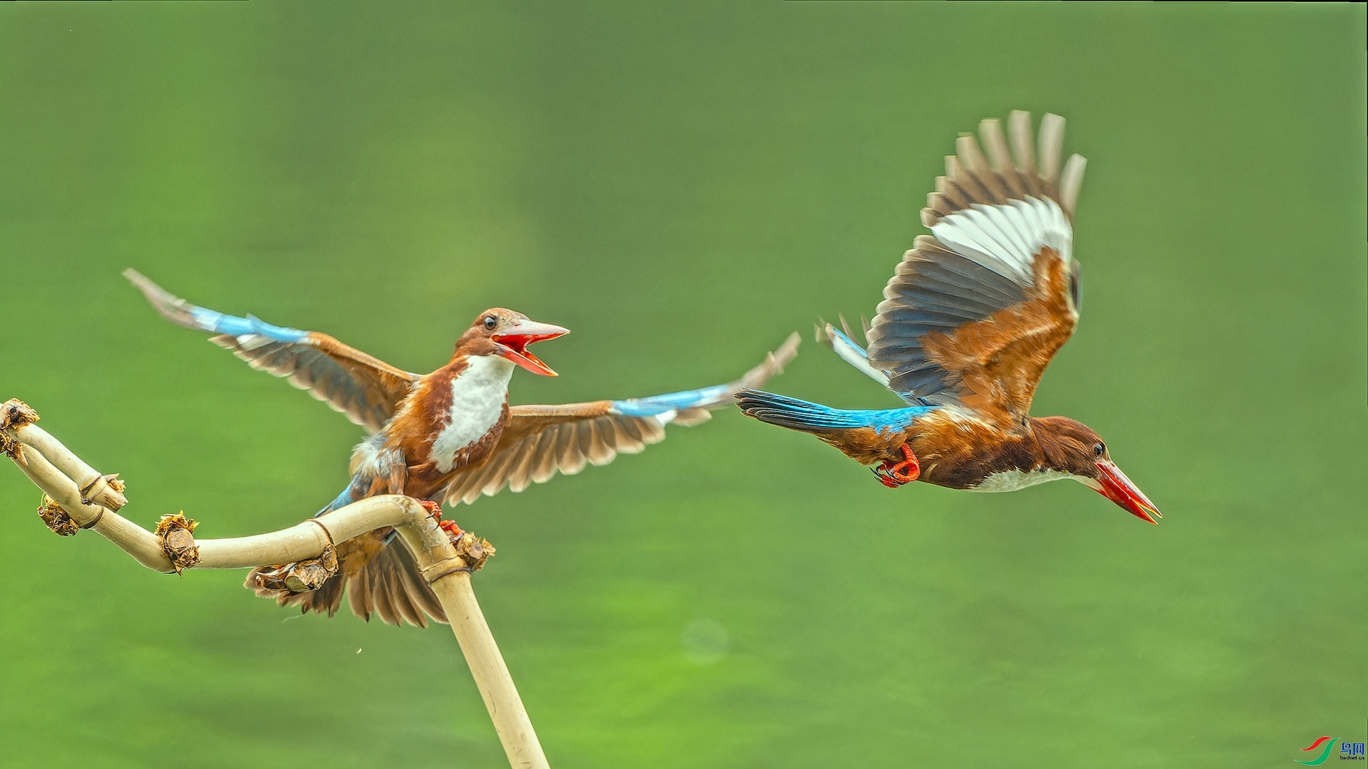 9.24lpy13801380��ʦ��Ʒ   ������ȥ  �ٻ�2023��9��24����ҳ����.jpg