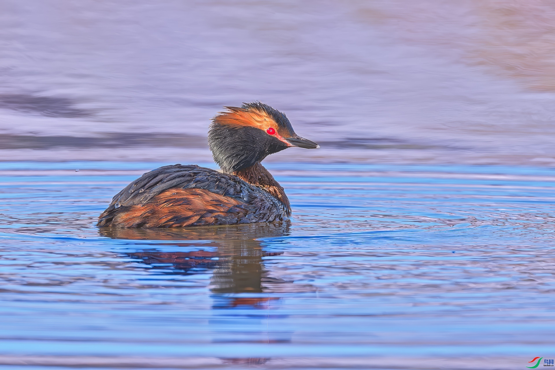 9.24����3161��ʦ��Ʒ   ��  �ٻ�2023��9��24����ҳ���� .jpg