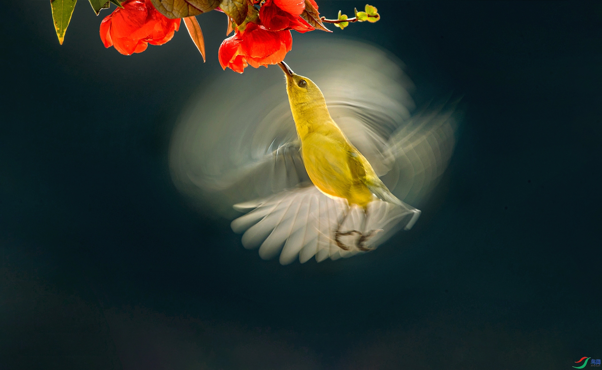 9.24������ʦ��Ʒ   ����ġ�С̫����  �ٻ�2023��9��24����ҳ����.jpg