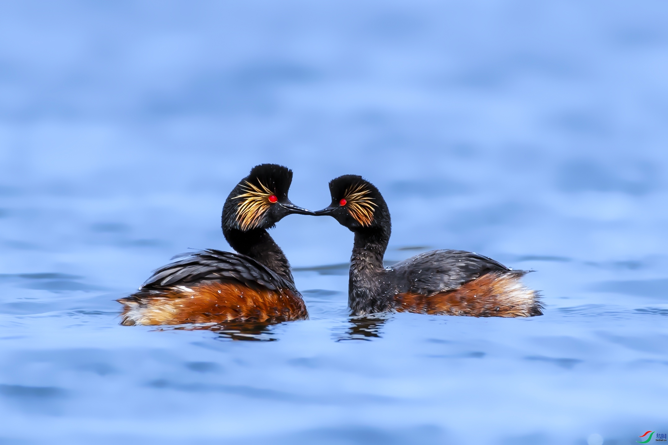 9.24ѧ������ʦ��Ʒ   ����  �ٻ�2023��9��24����ҳ����.jpg