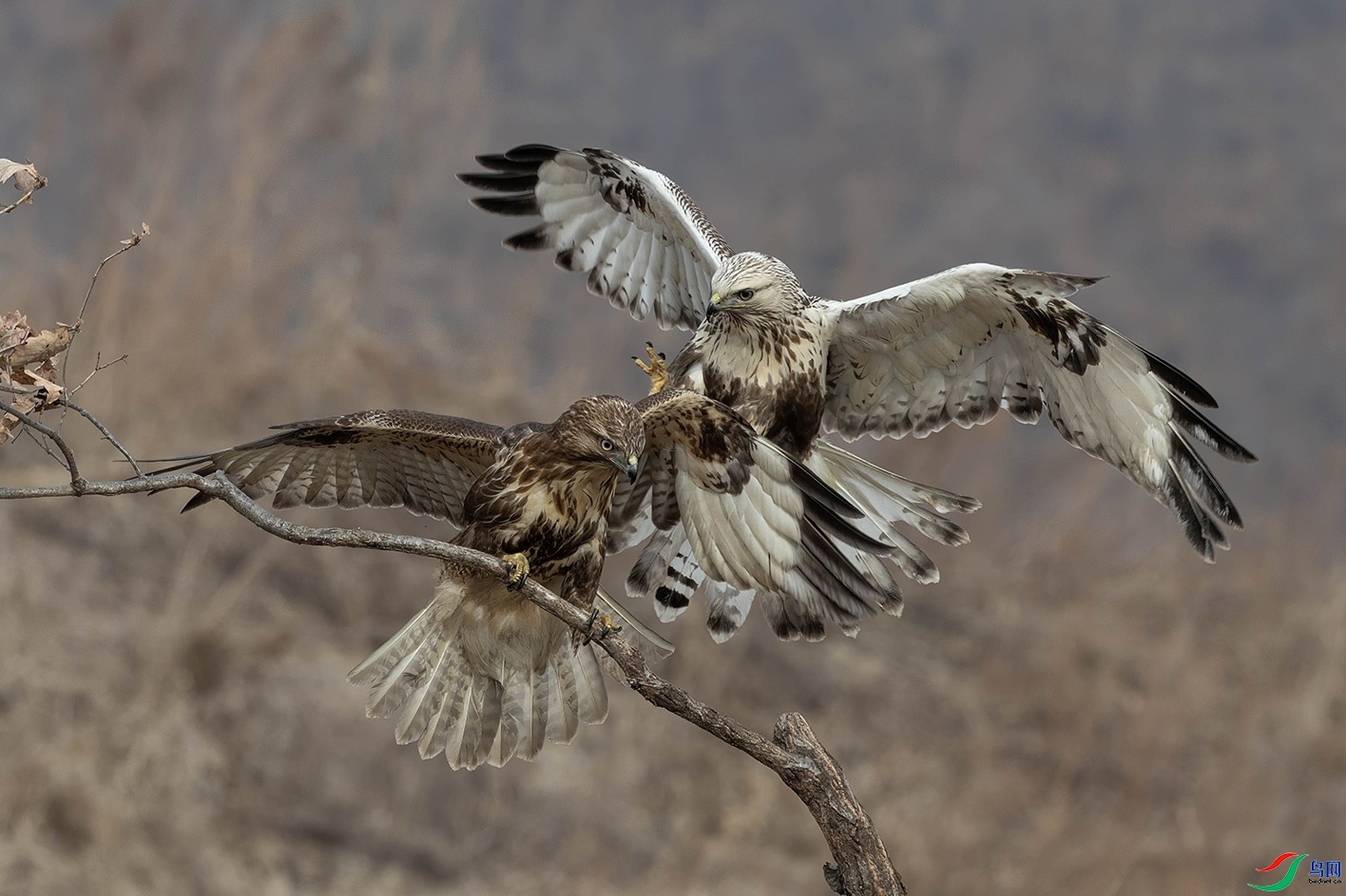 9.25zz412��ʦ��Ʒ   ë�������ͨ�  �ٻ�2023��9��25����ҳ����.jpg