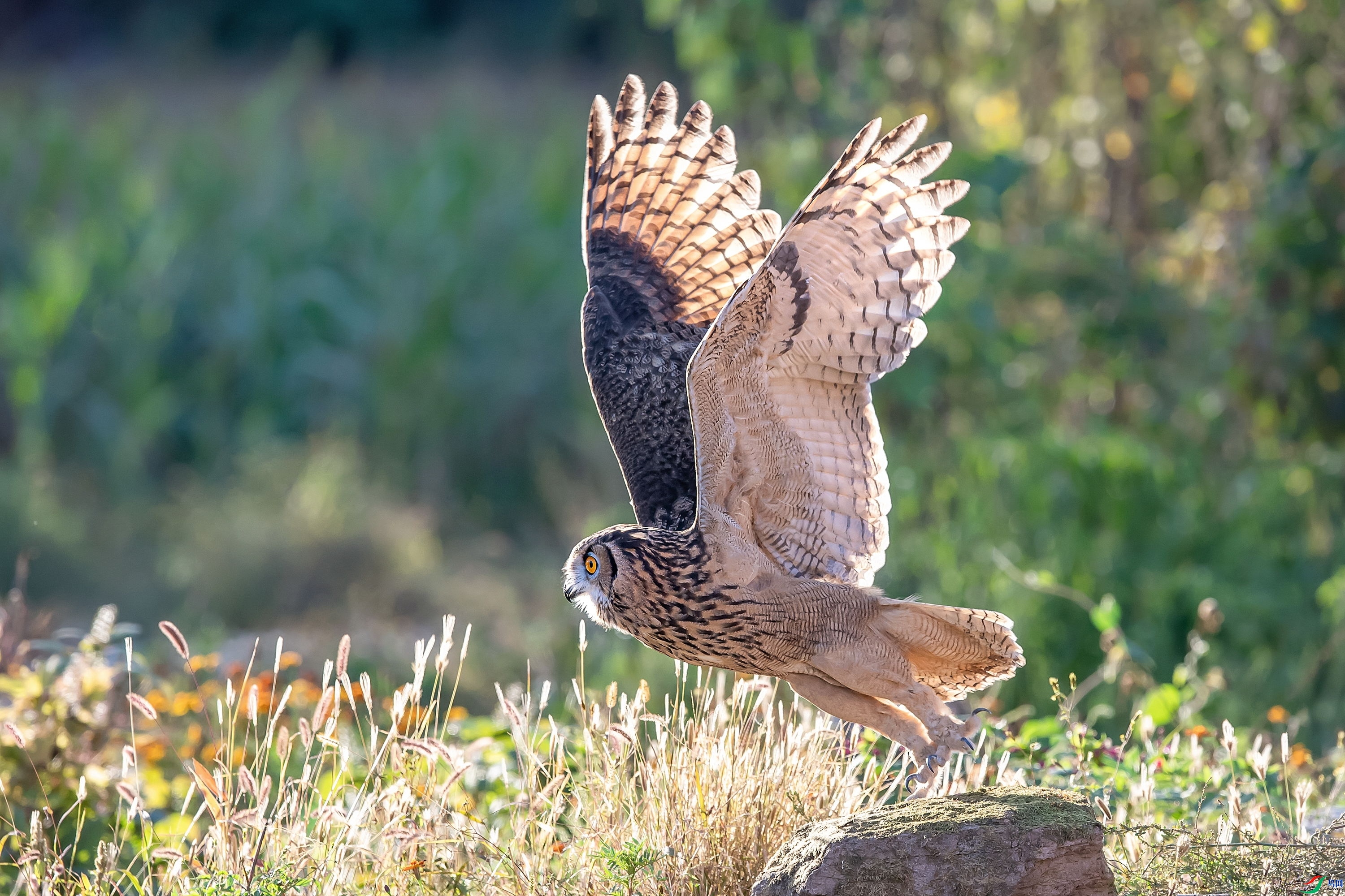 9.25����1183��ʦ��Ʒ   ���  �ٻ�2023��9��25����ҳ����.jpg