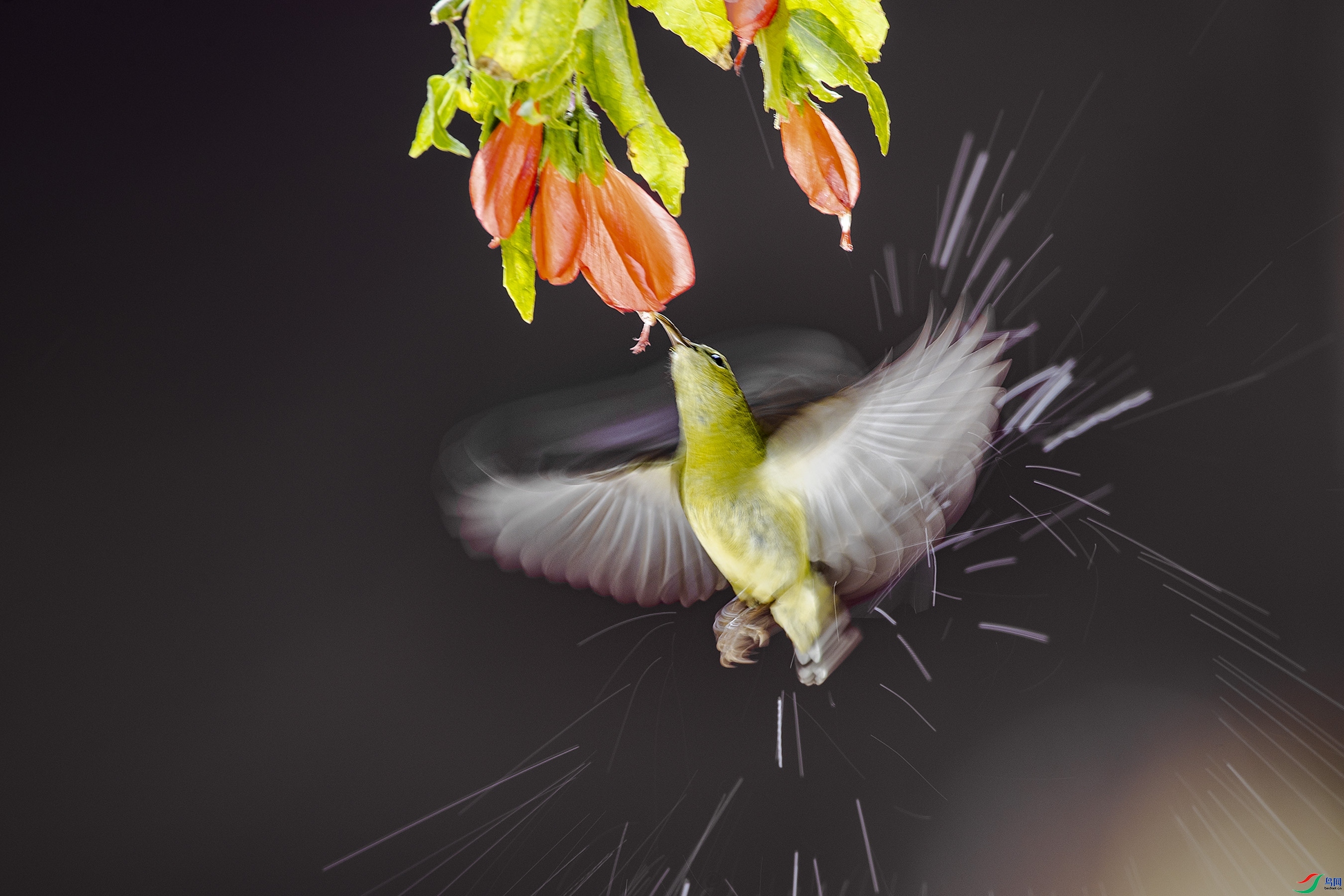 9.26���Լ����ʦ��Ʒ   ŭ��  �ٻ�2023��9��26����ҳ����..jpg