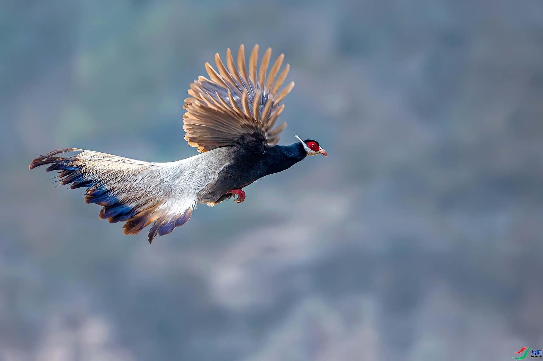 9.26��ҶŮʿ��ʦ��Ʒ   ������  �ٻ�2023��9��26����ҳ����.jpg