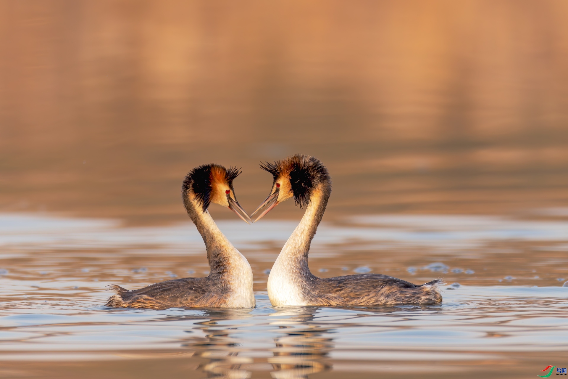 9.26�ز���ʦ��Ʒ   ����  �ٻ�2023��9��26����ҳ����.jpg