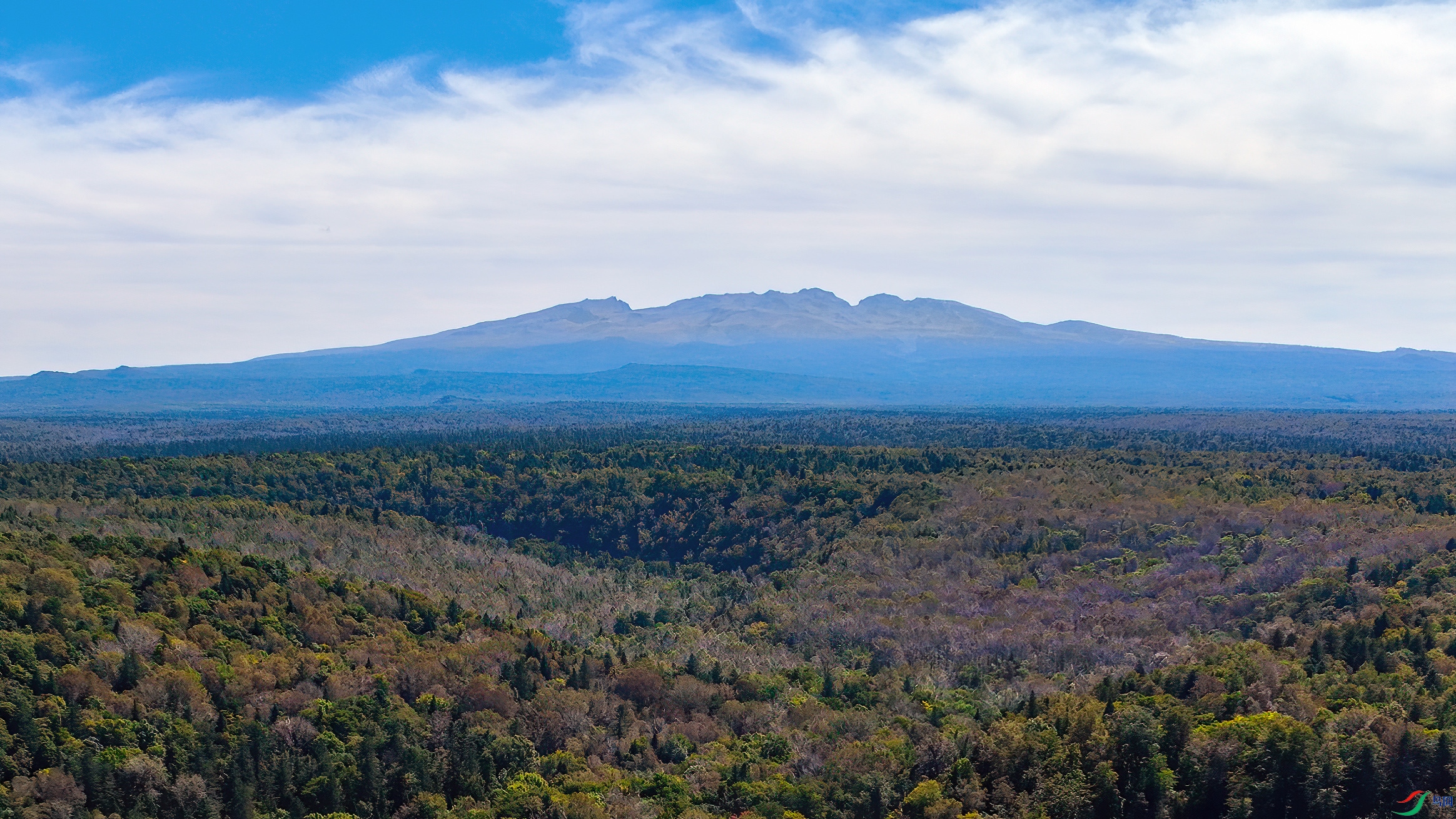 DJI_0857.jpg