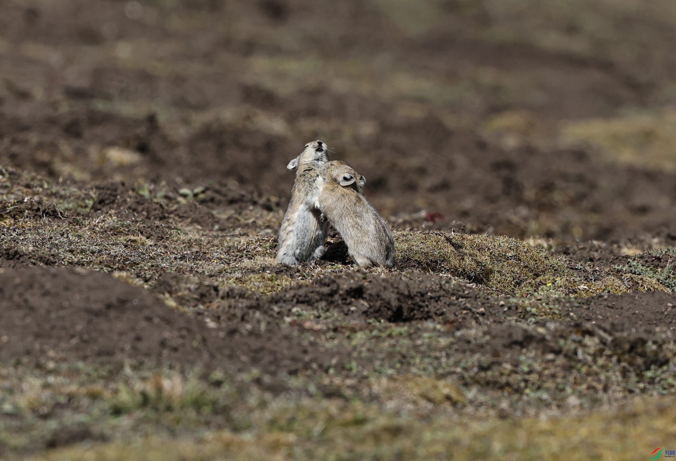 _X5A8713 - ����.JPG