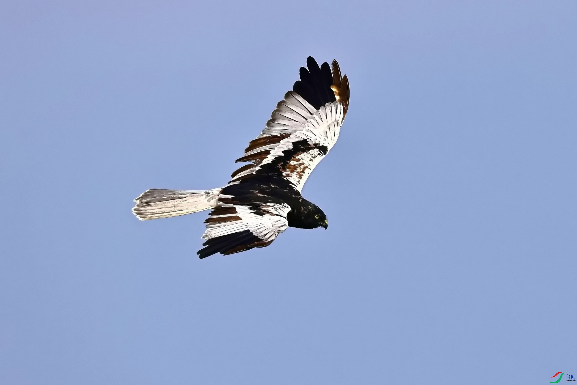 IMG_0302-1.JPG