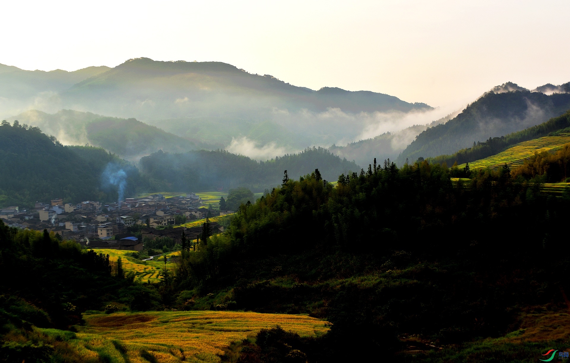 D8I_2663.jpg