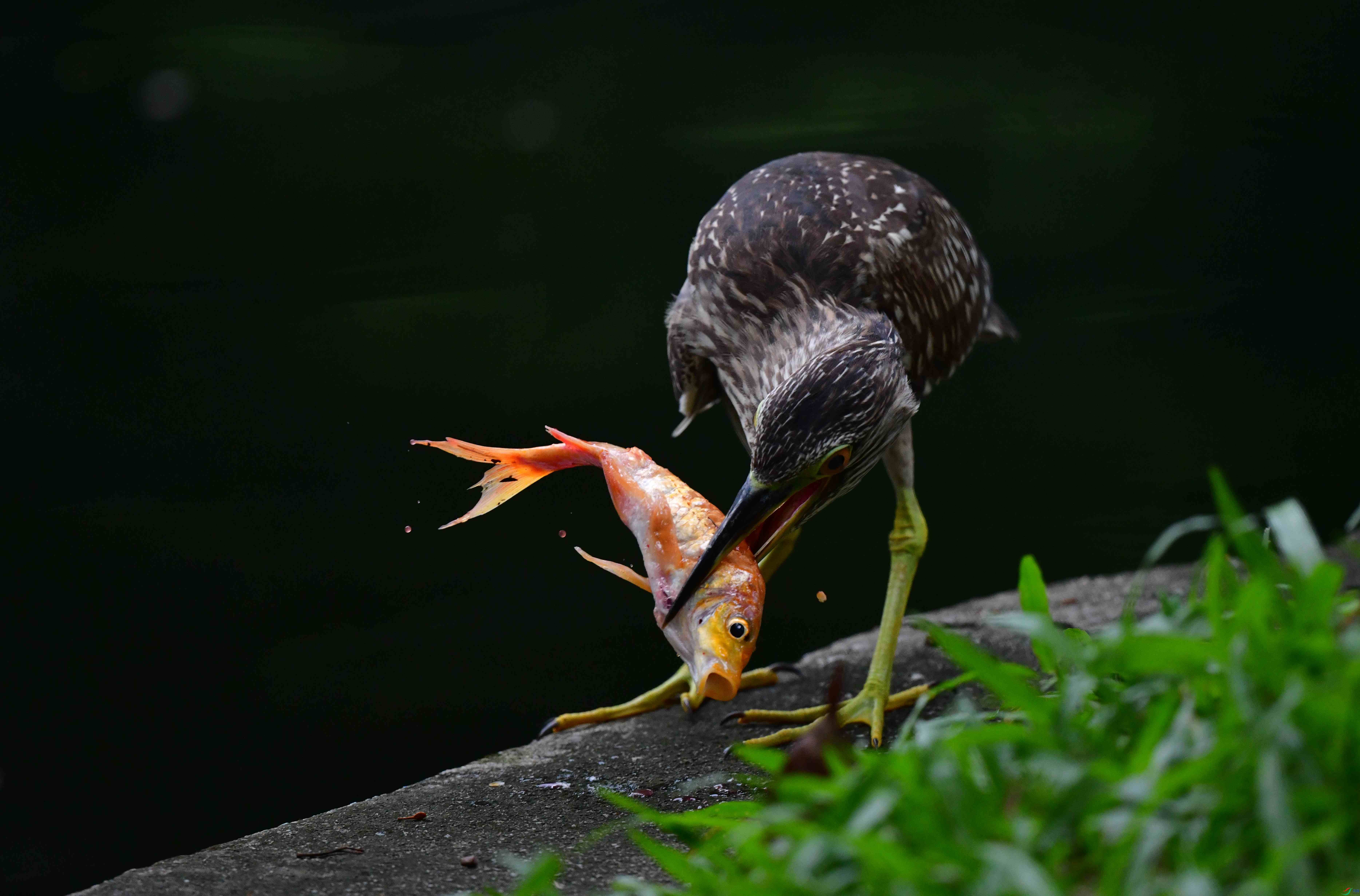 DSC_1406_��ͼ��.jpg