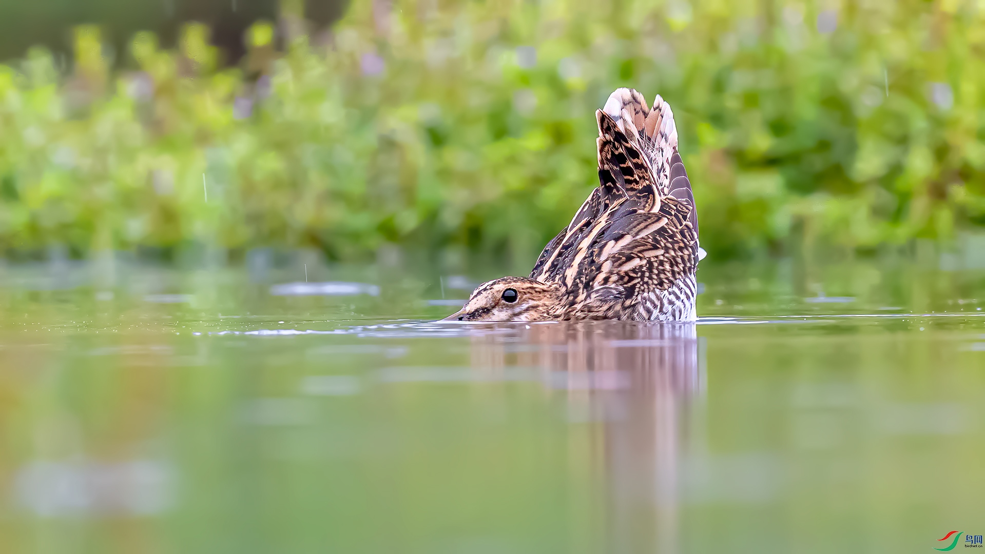 DSC_9237ɳ��.jpg