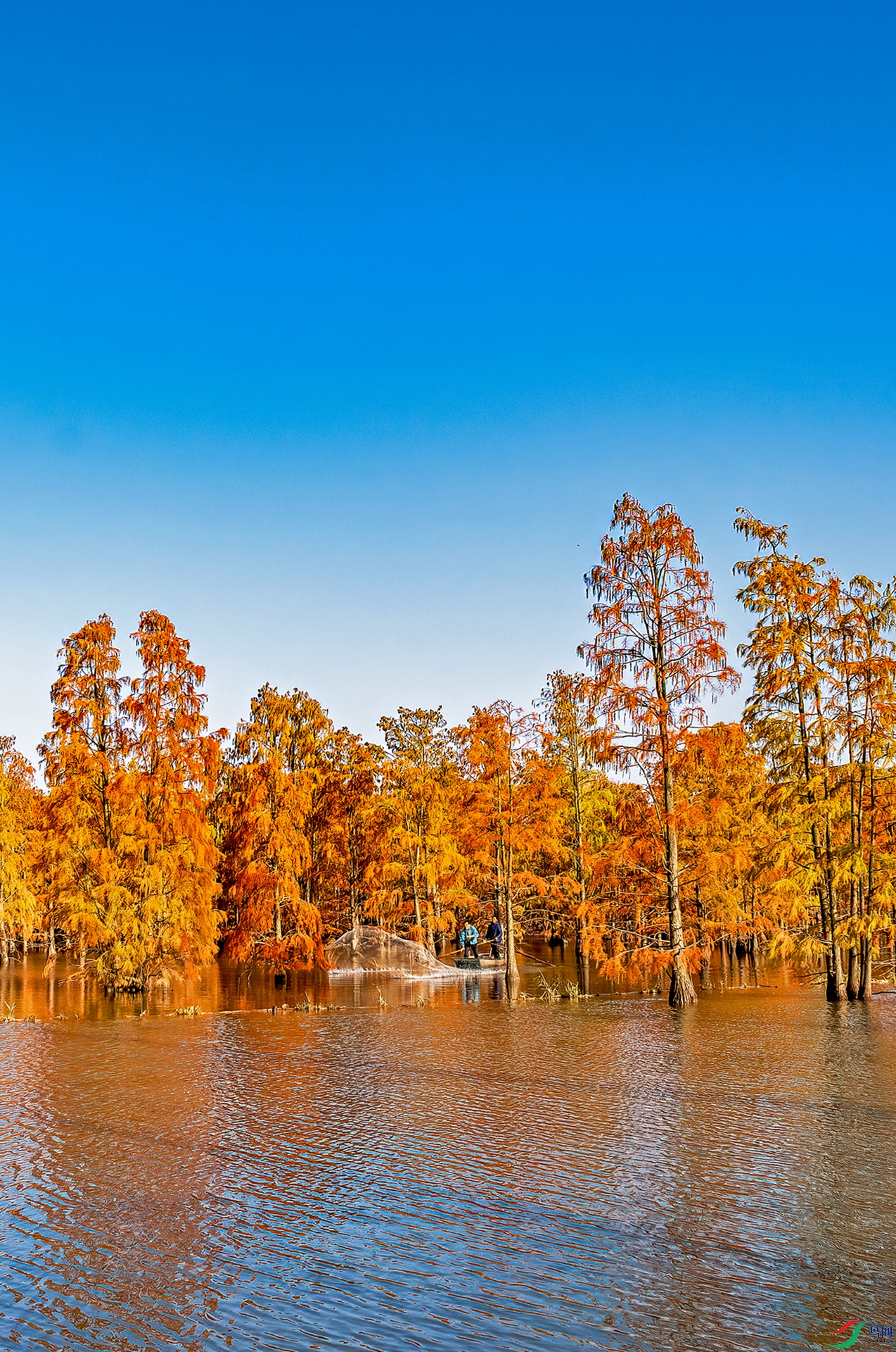 ����������ɫ) ���� .jpg