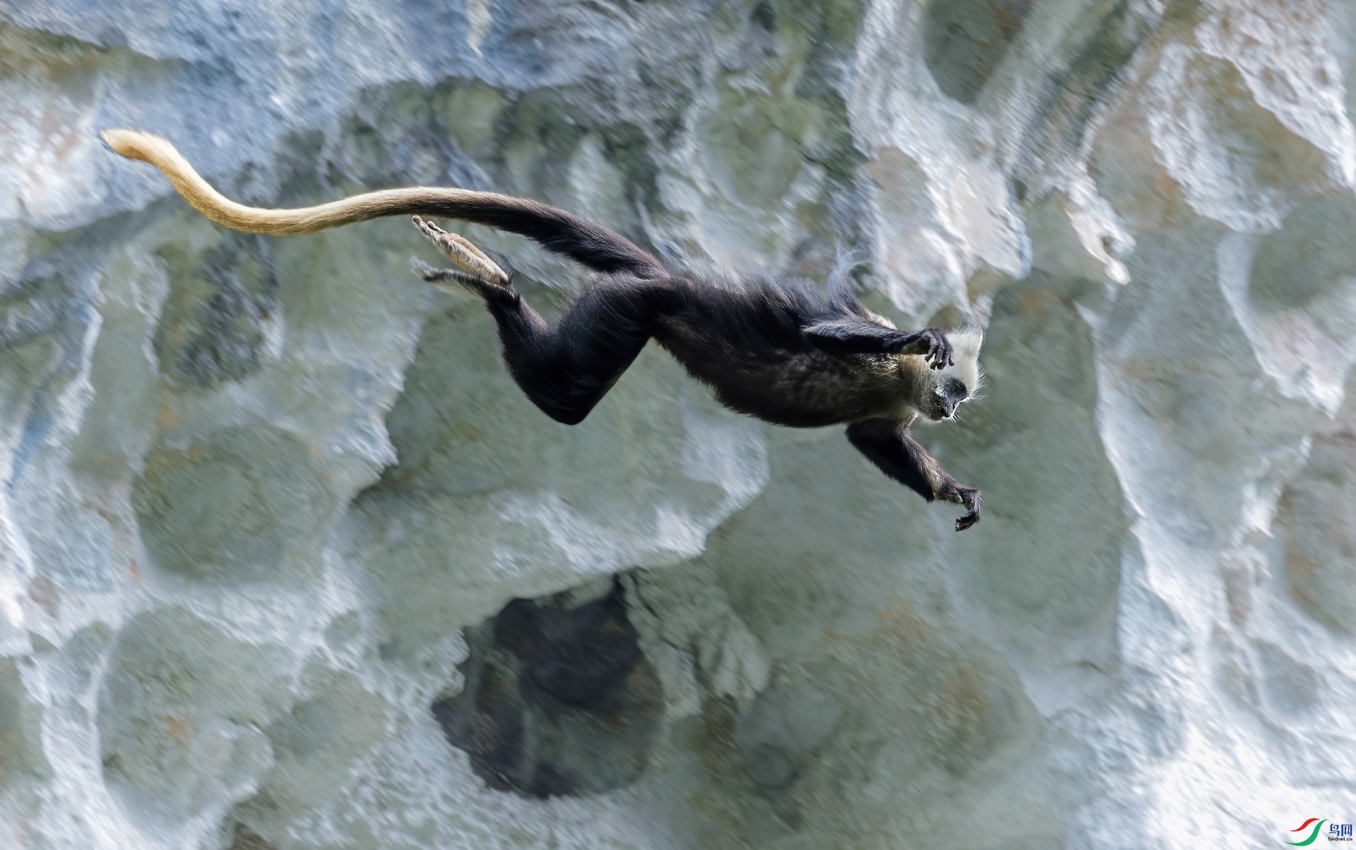 ����������Ծ) ���� .jpg