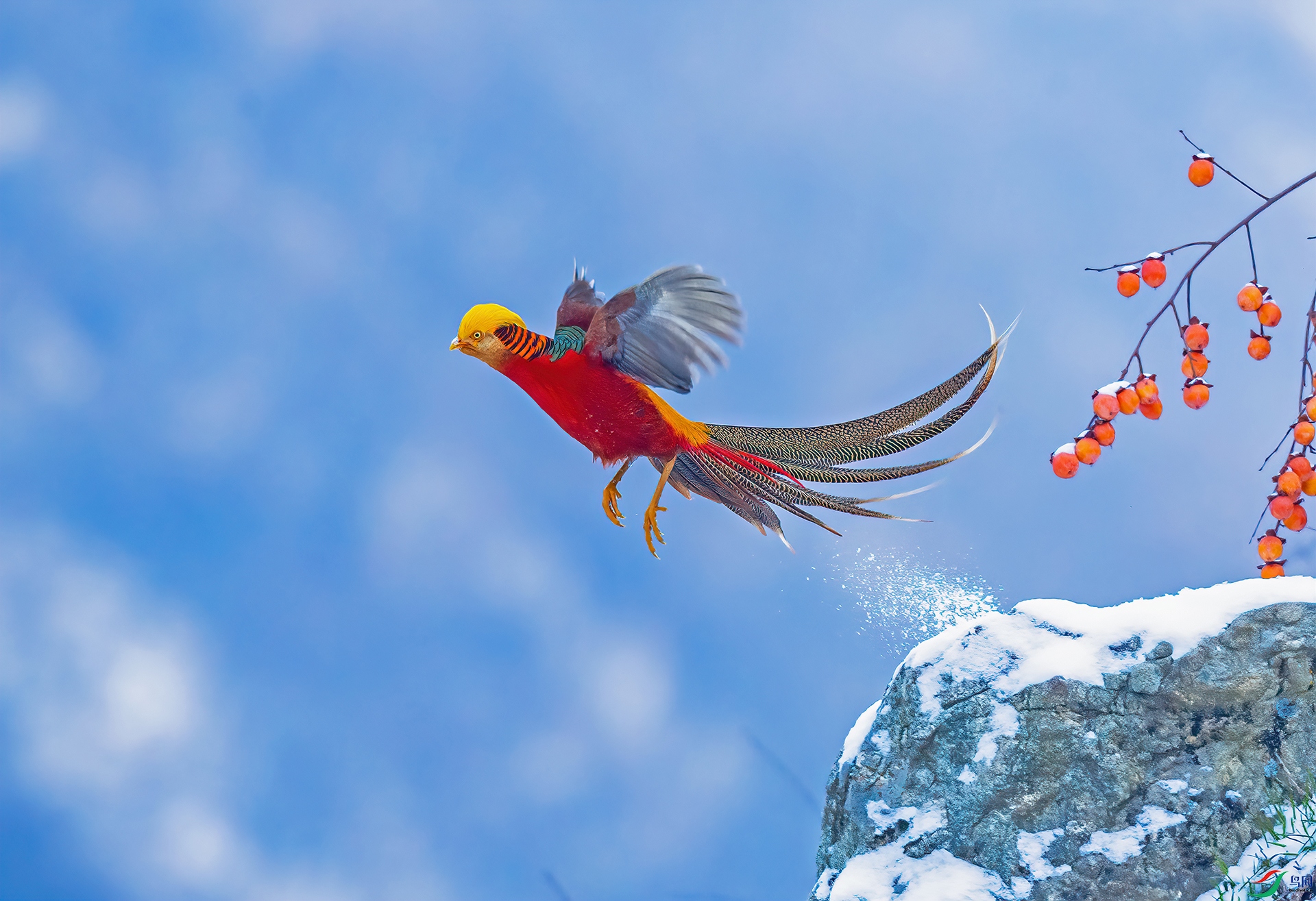 ���������츹����) ����.jpg