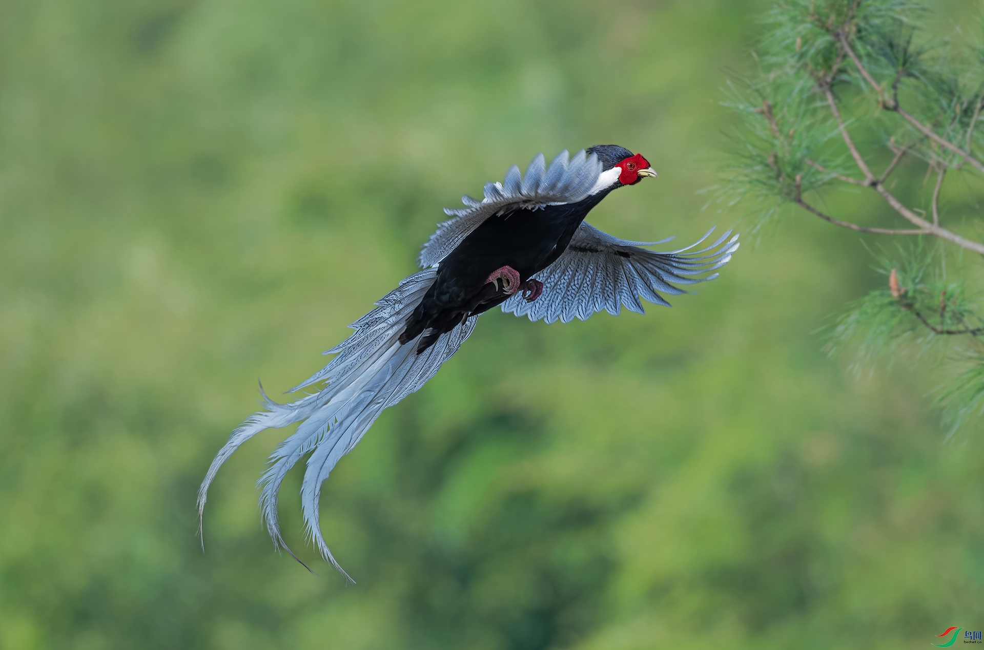 ������������)  ���� .jpg