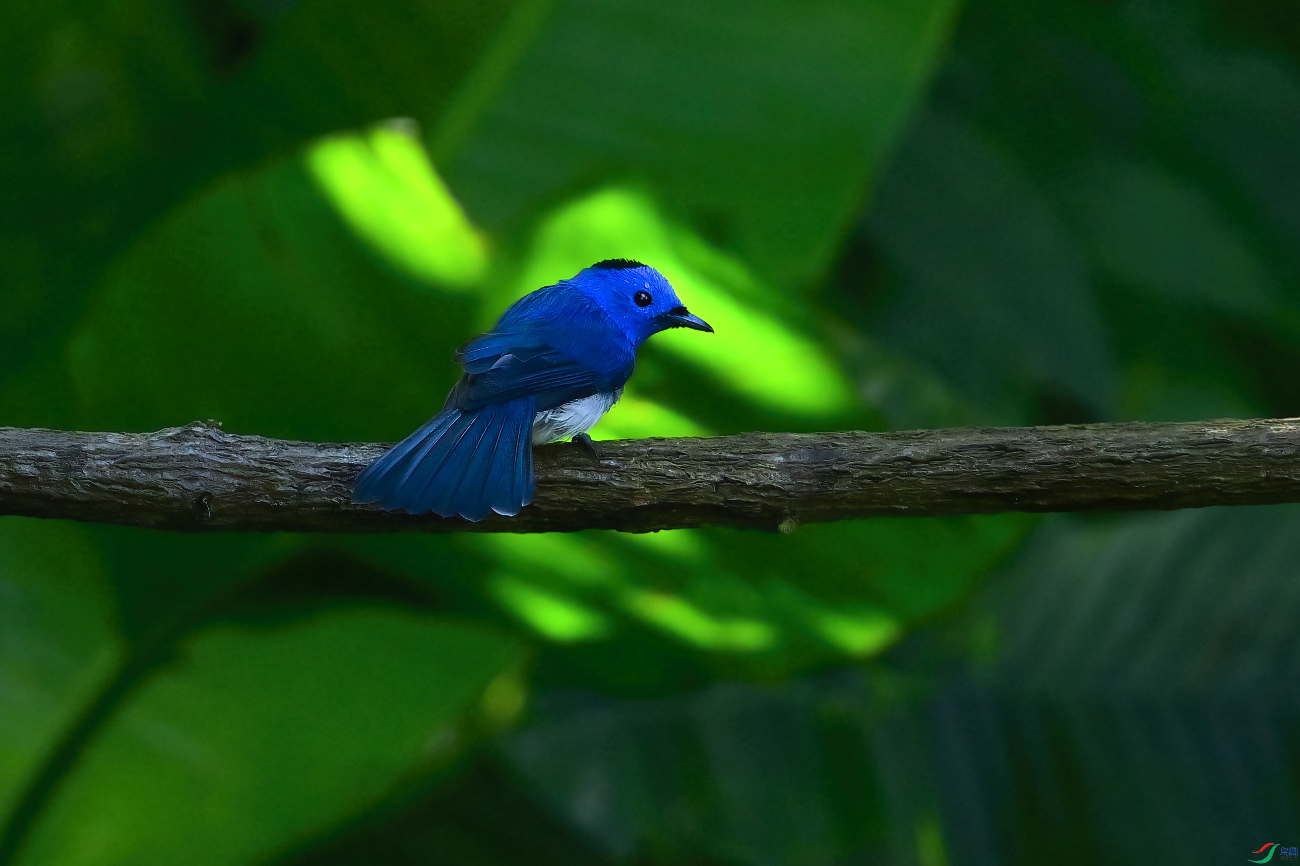 _DSC6433x.jpg