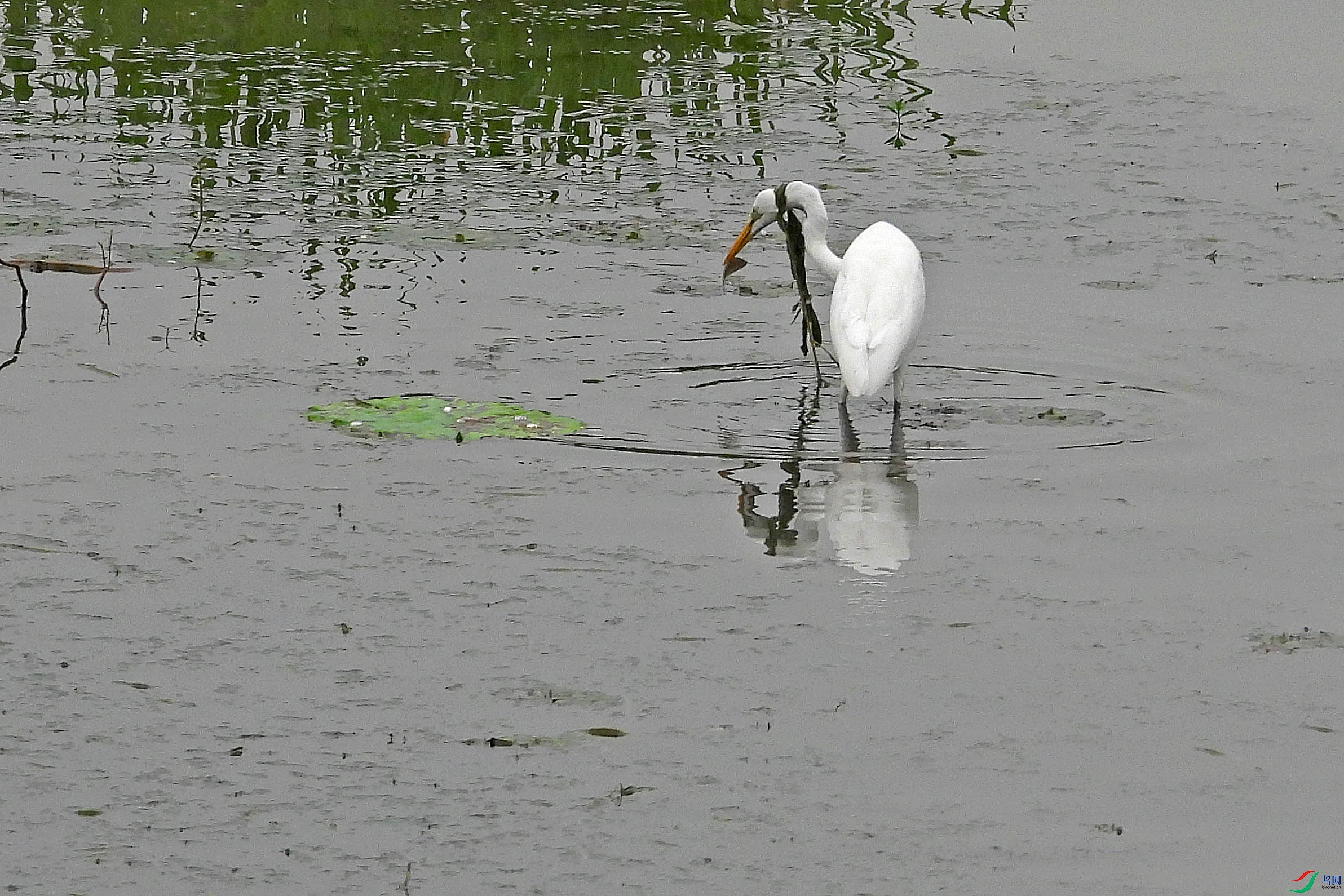 DSCN0793.JPG
