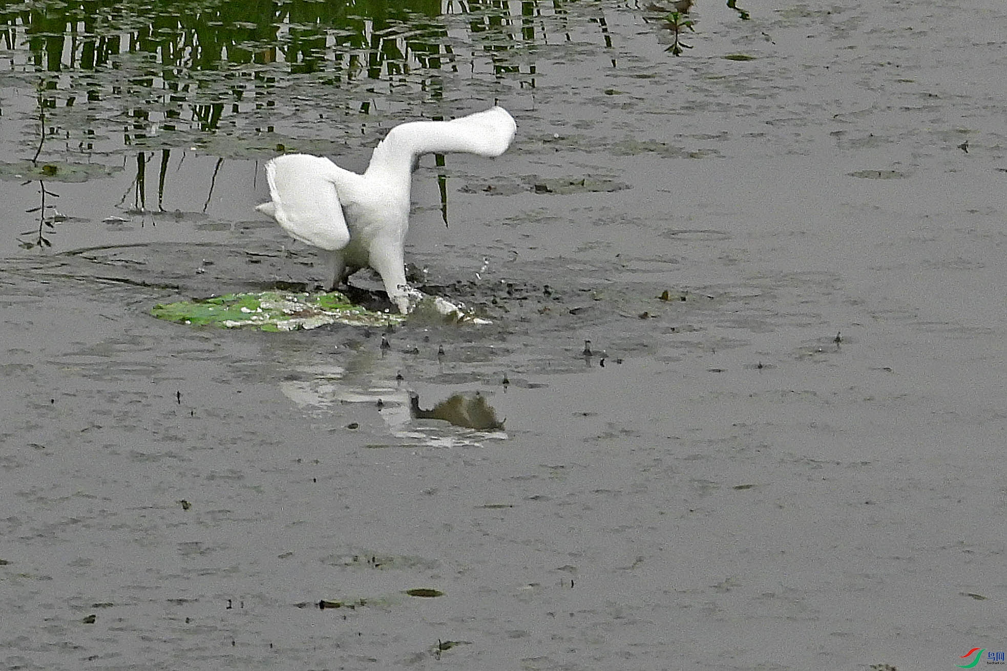 DSCN0787.JPG
