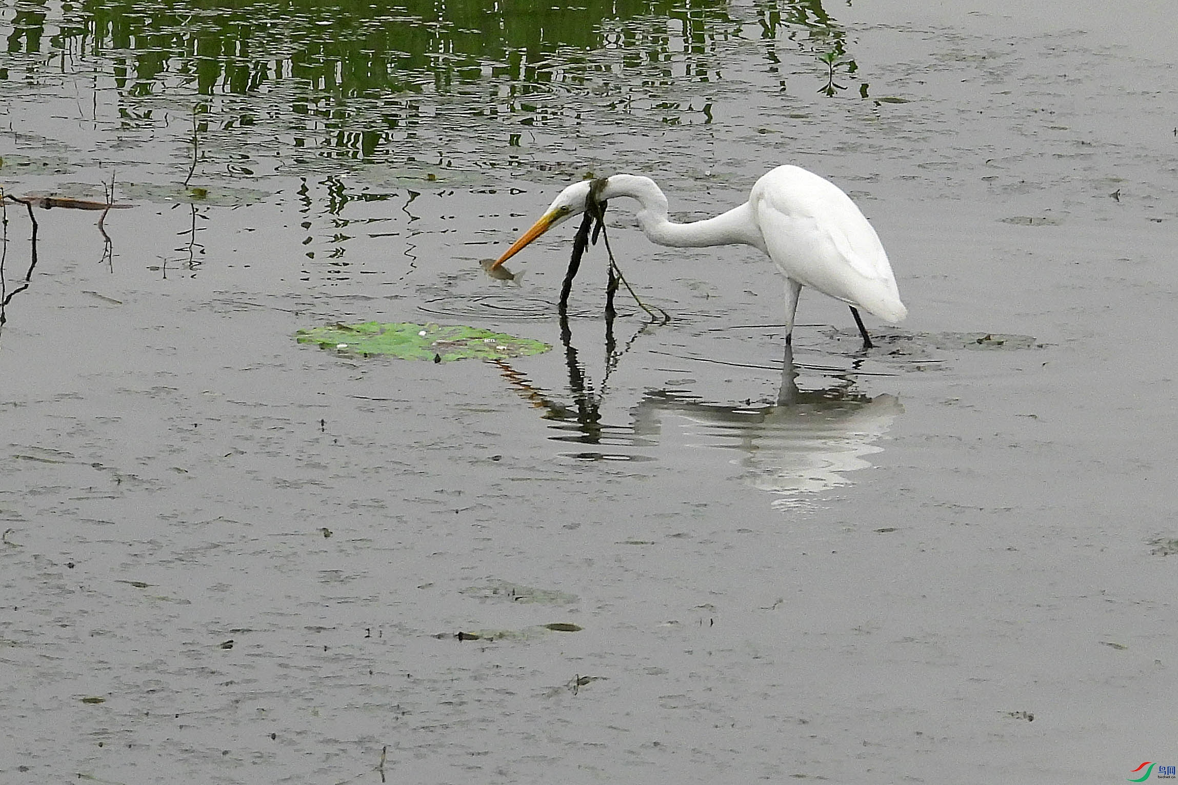DSCN0795.JPG