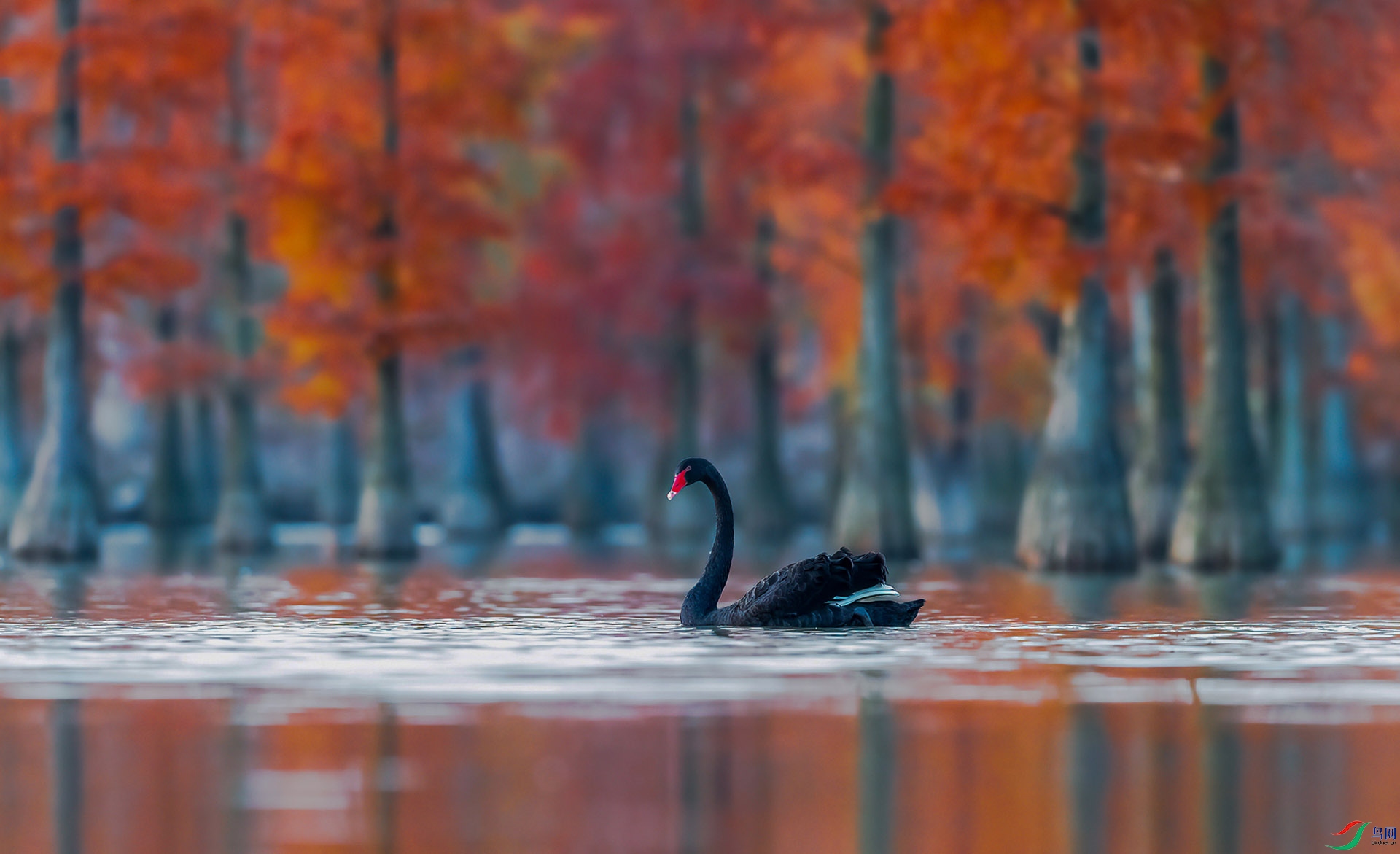 �������������ĳ�ɼ��) ��ɽ.jpg