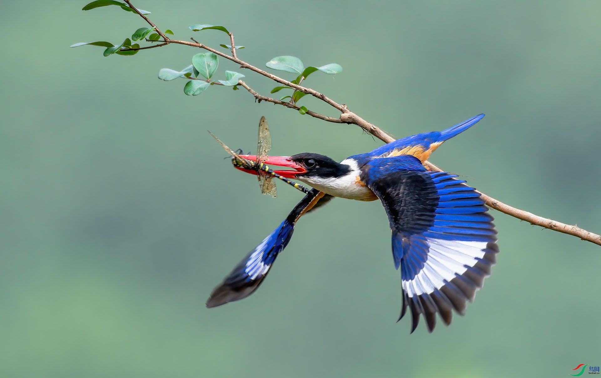 �������������)  ��ɽ.jpg