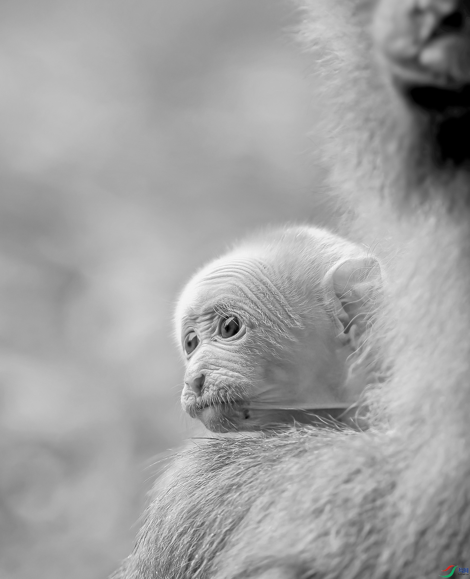 ����������) ��ɽ.jpg