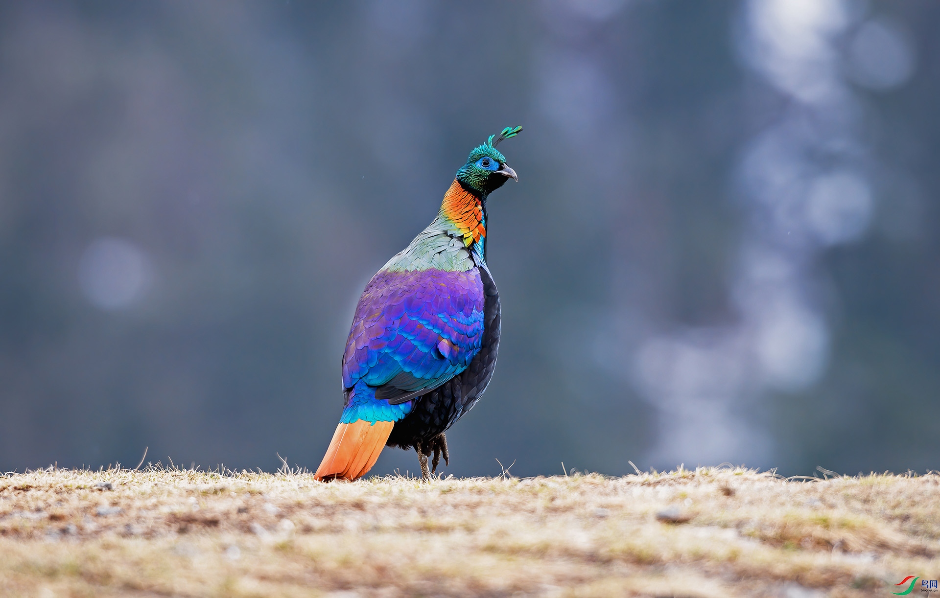 ������������) ��ɽ.jpg