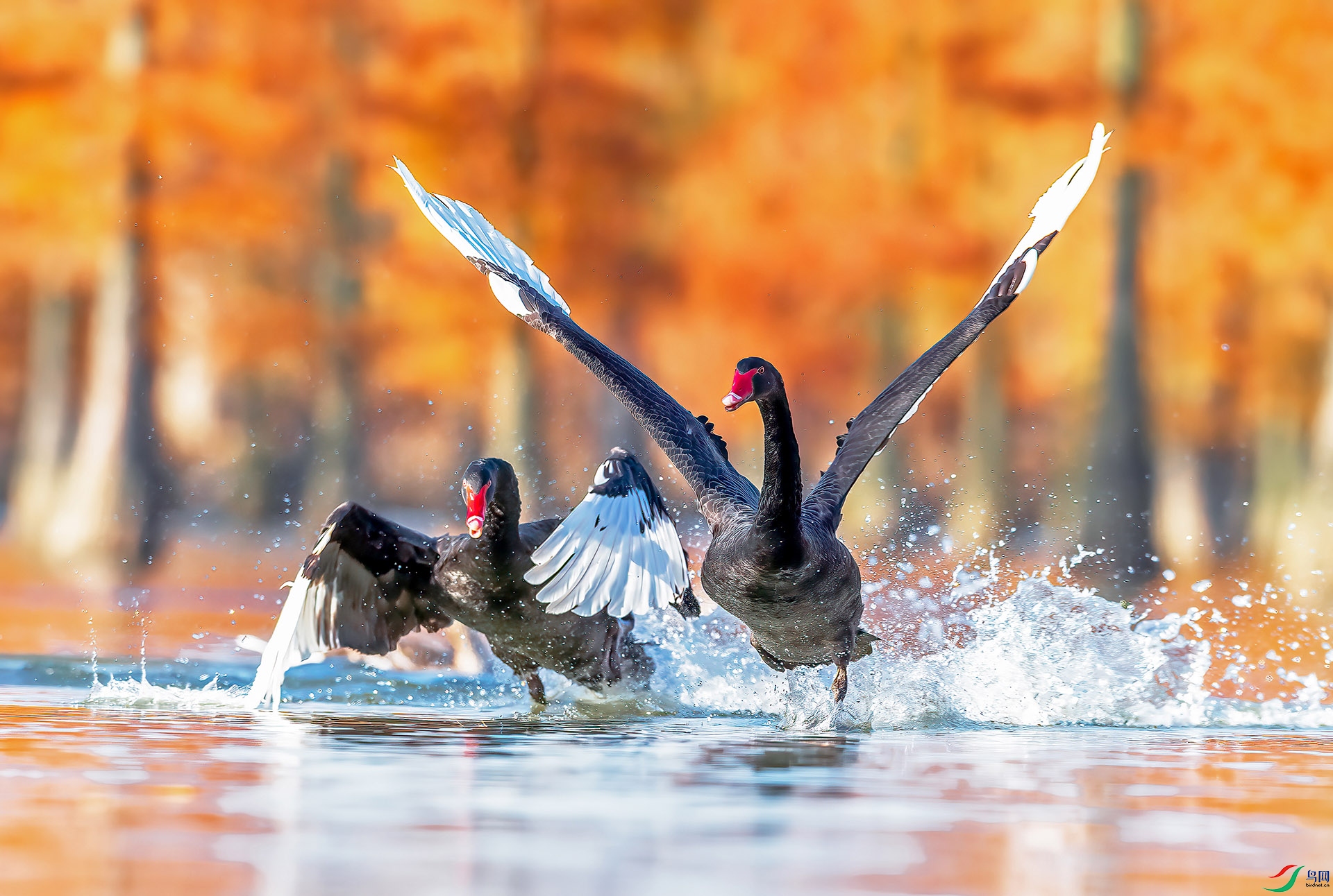 �����������) ��ɽ.jpg