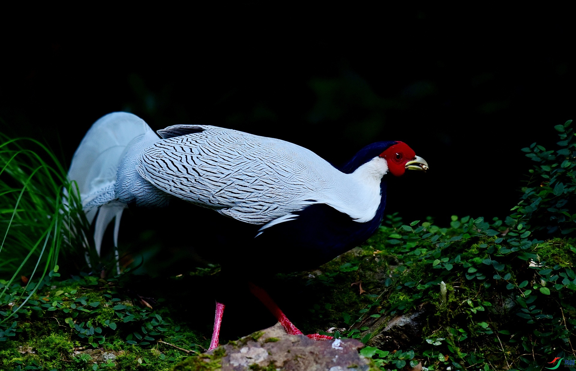 D8I_6301.jpg