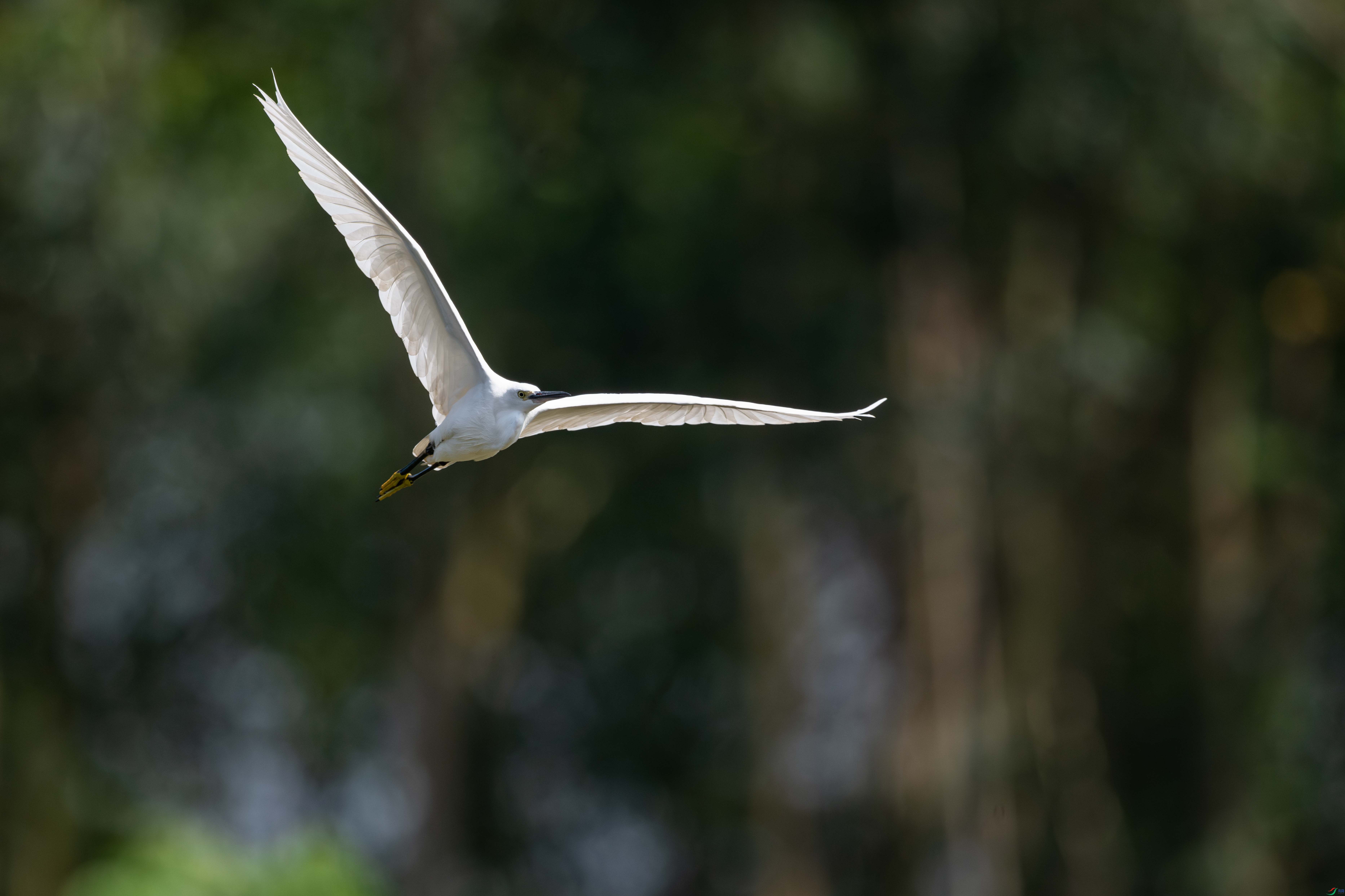 DSC_8430_1.JPG
