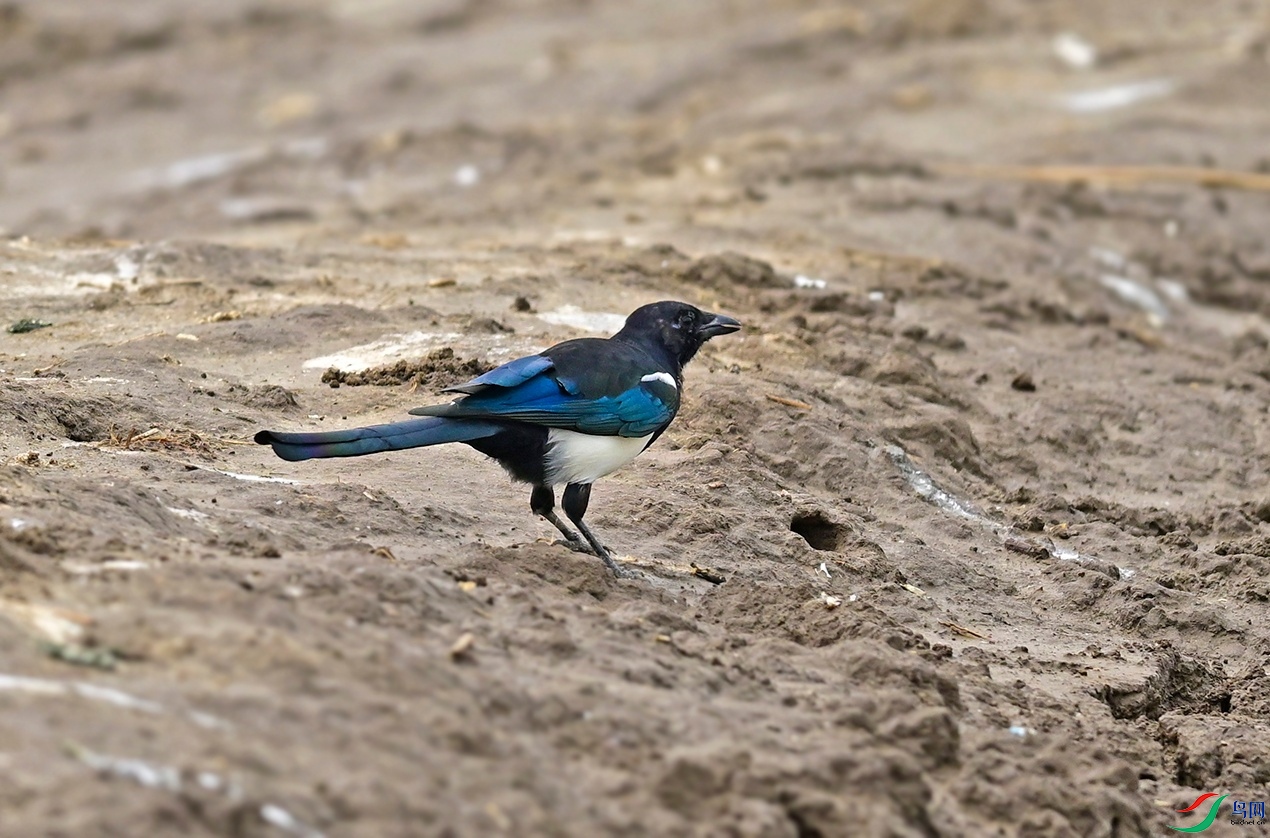 _DSC1788f_��ͼ��.jpg