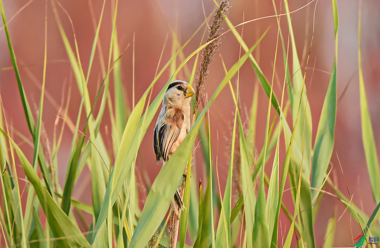 DSC_5288.jpg