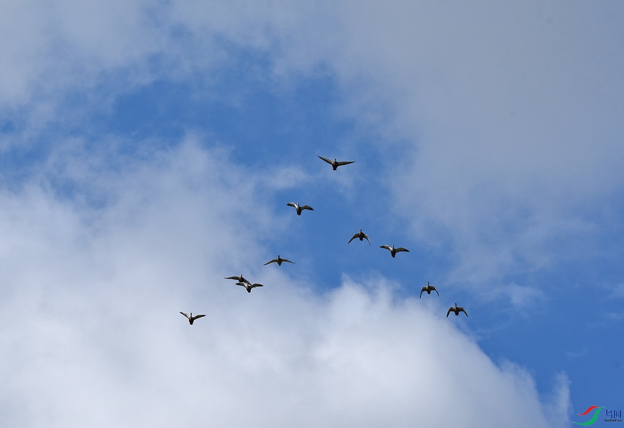 DSC_5841.jpg