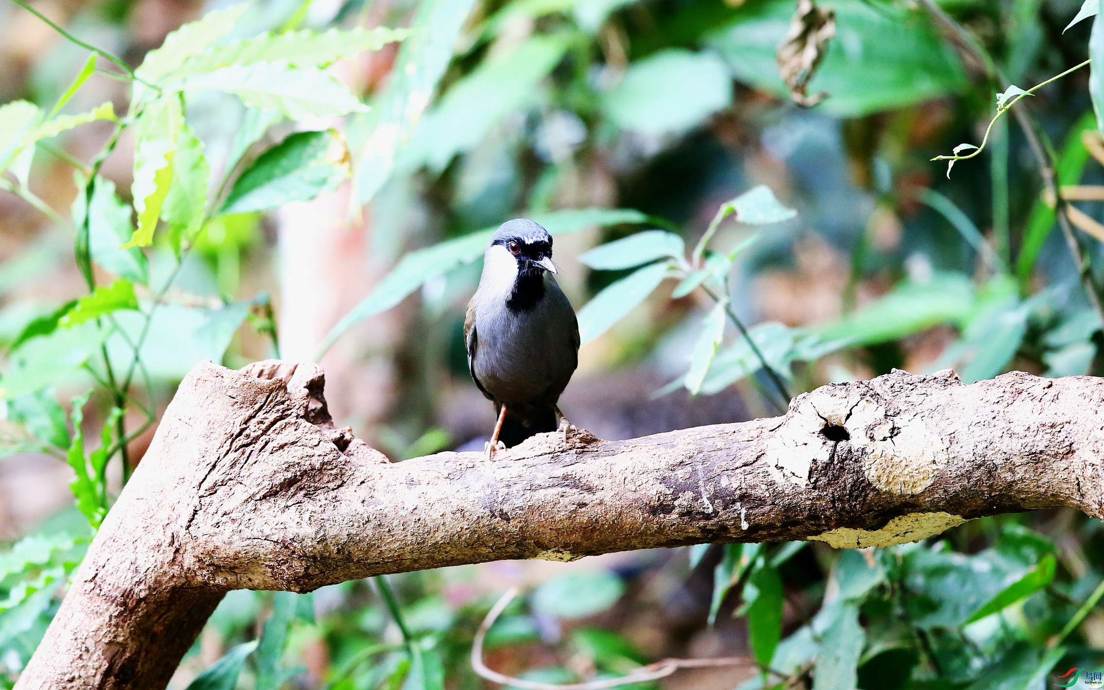 �ں����� (1).JPG