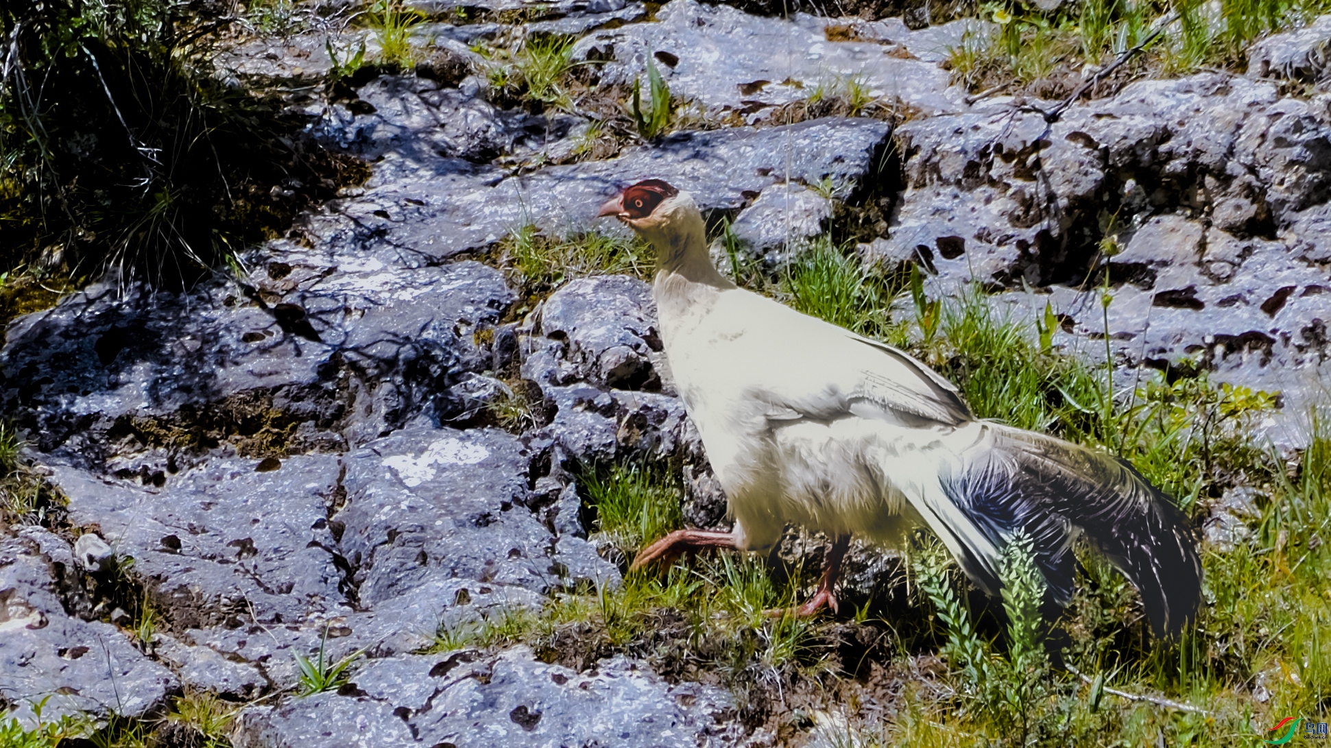 _DSC9614.JPG