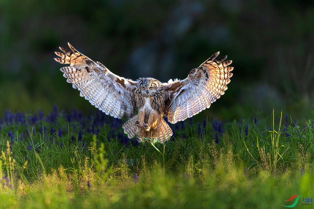 lnsysjtR230603 (537)_DxO.jpg