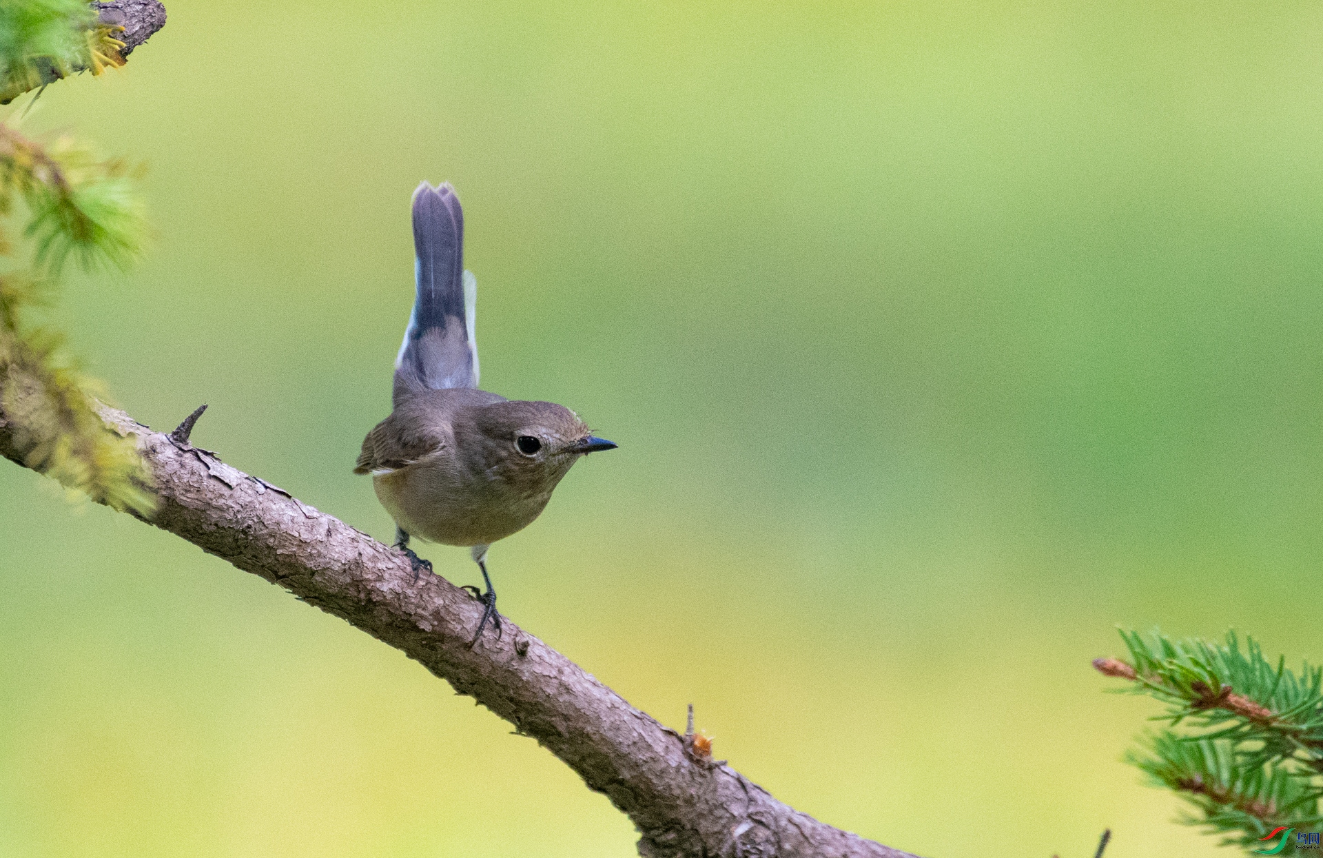DSC_0288.jpg