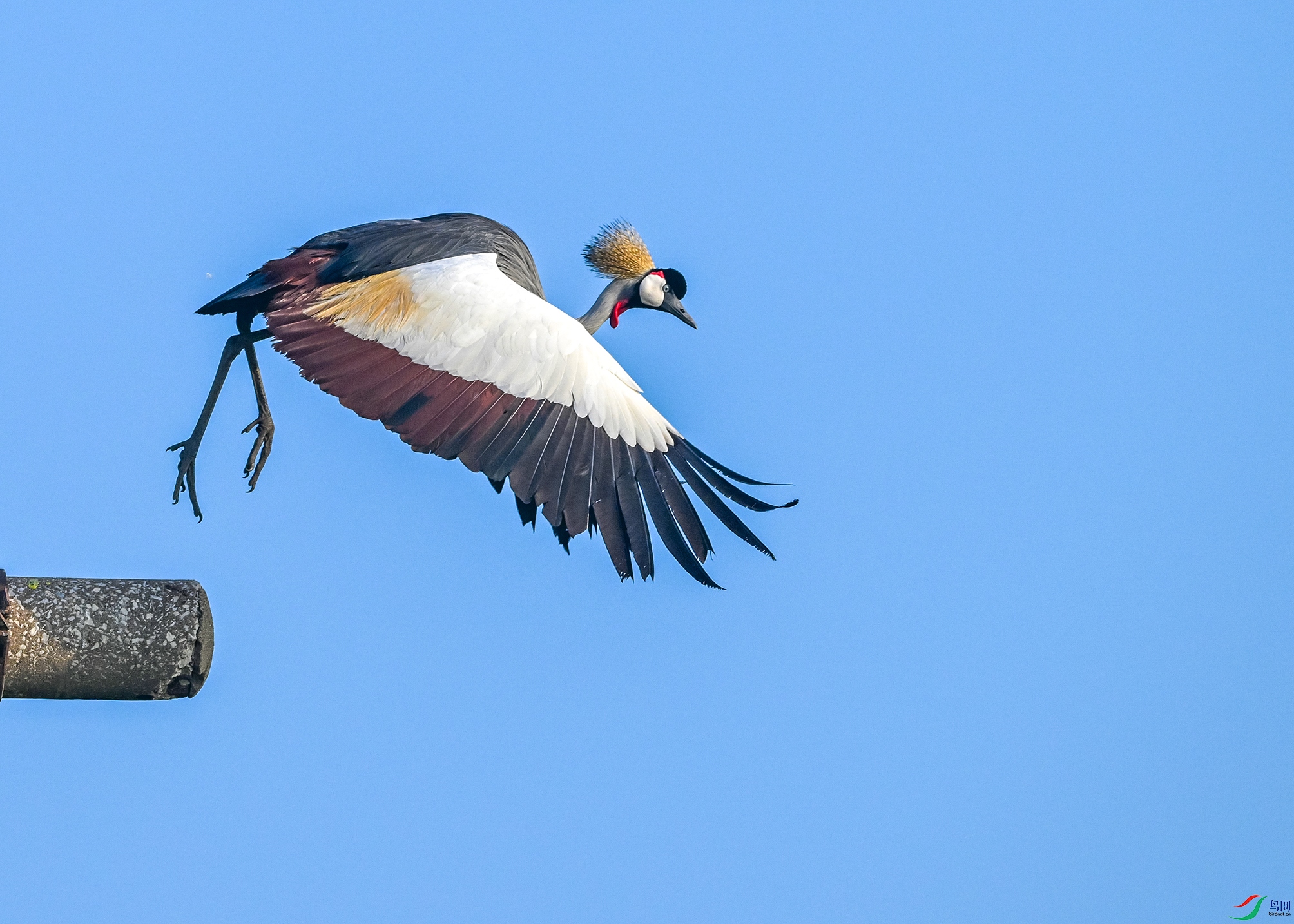 4944 ����.jpg