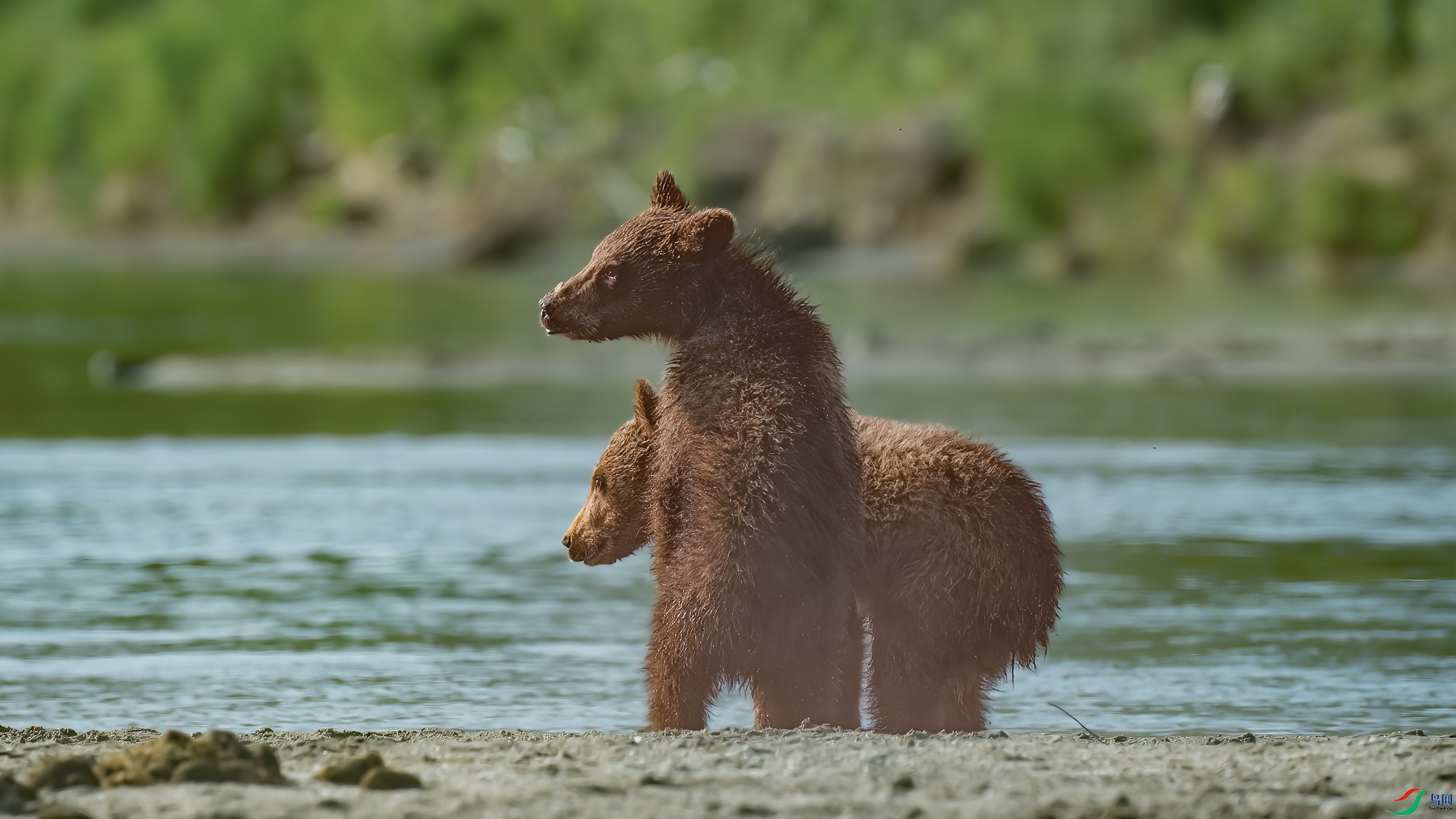 _DSC3676_����.jpg2.jpg