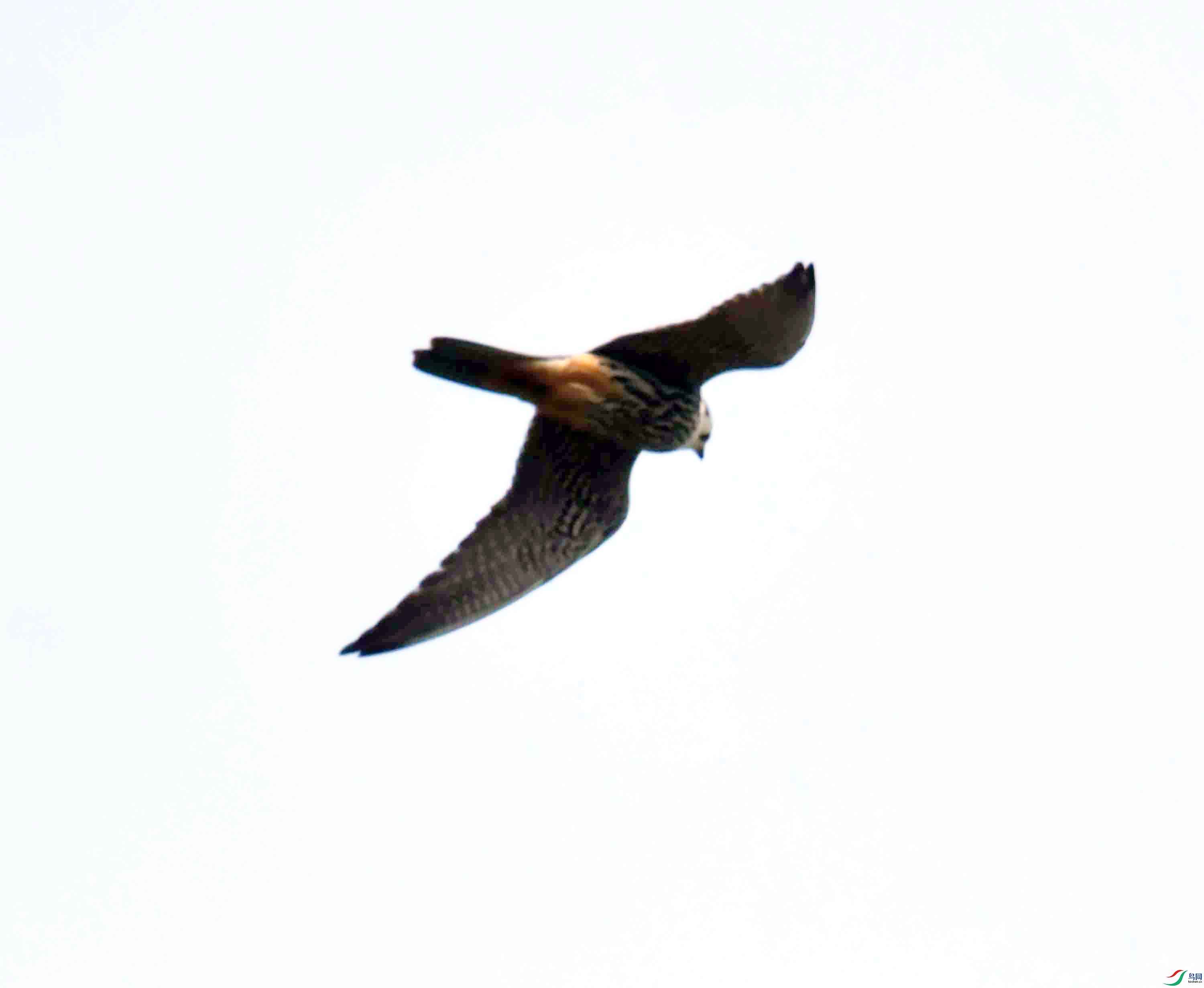 DSC_0344.JPG