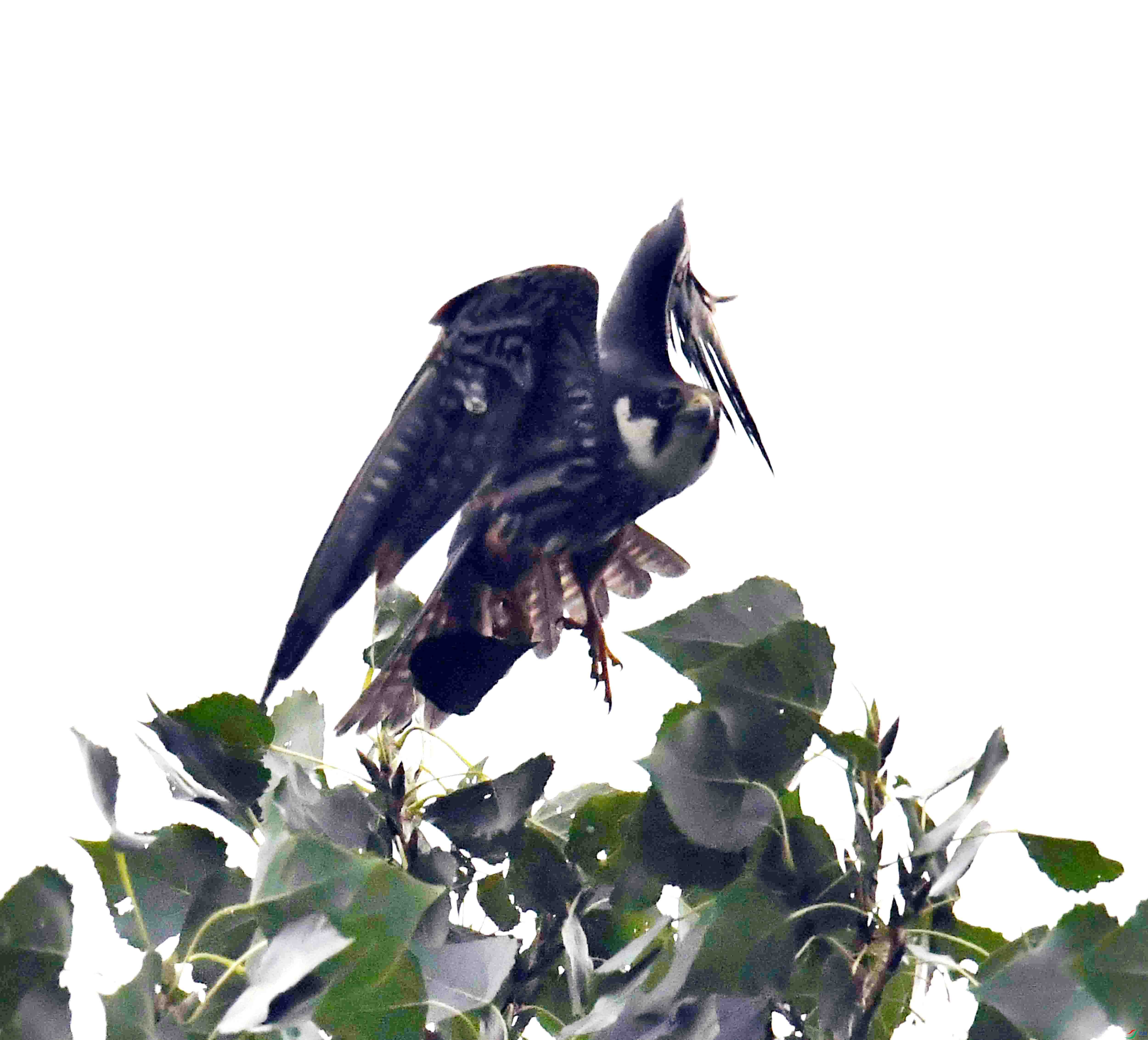 DSC_5057.JPG