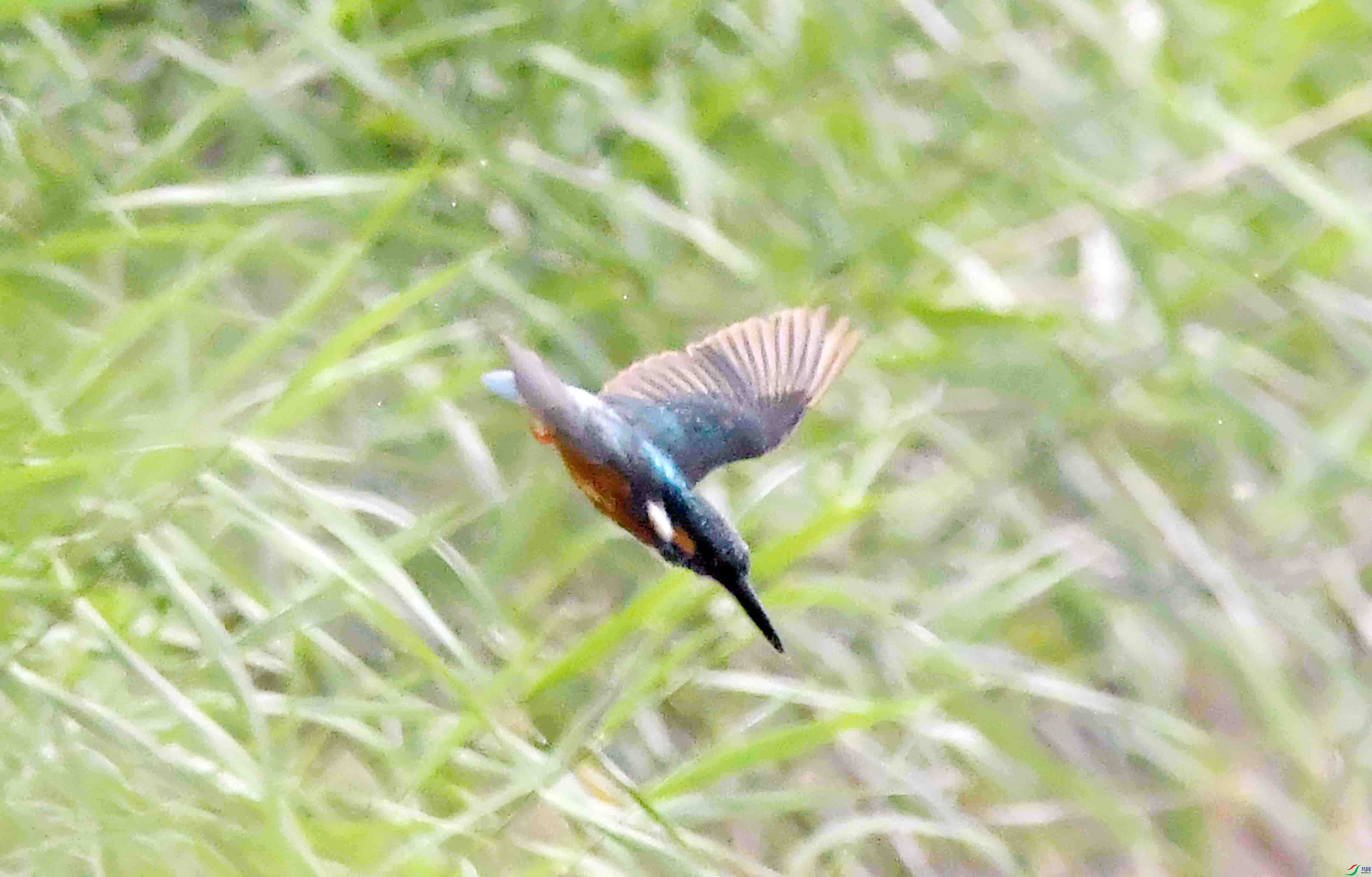 DSC_0122.JPG